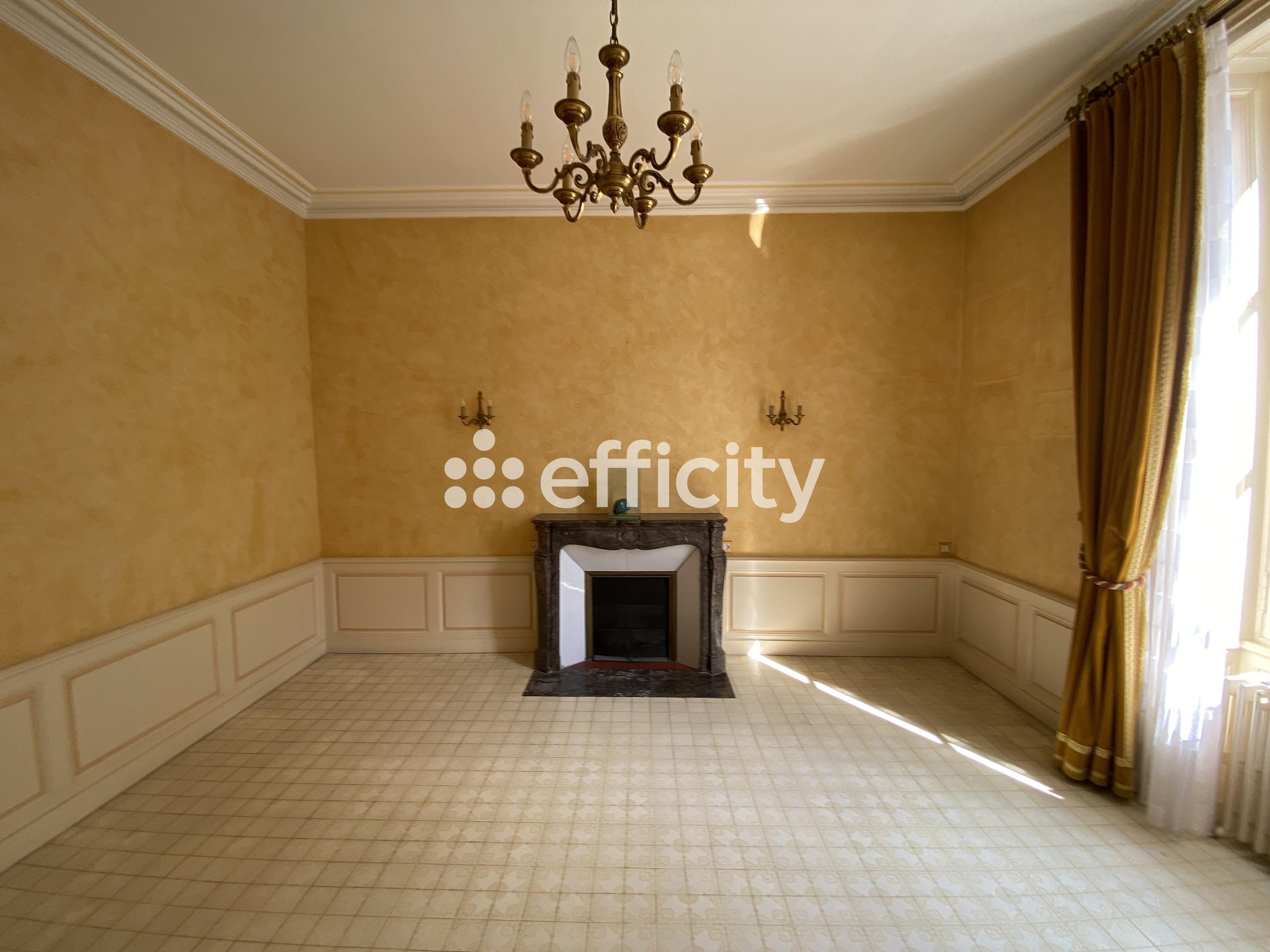 Achat immobilier Maison 9 pièces  223m2 à Laval (53000) - Photo n°8