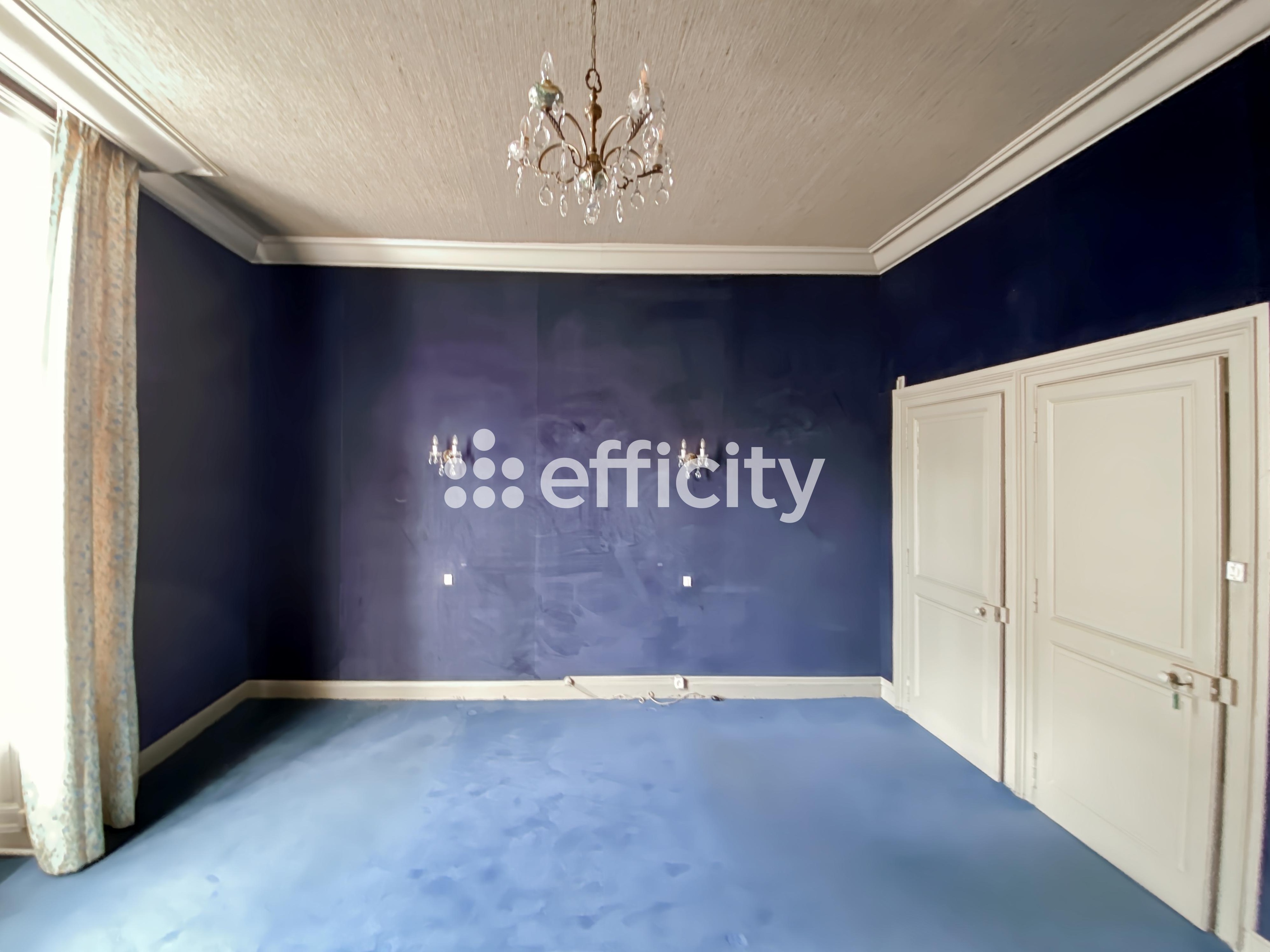 Achat immobilier Maison 9 pièces  223m2 à Laval (53000) - Photo n°13