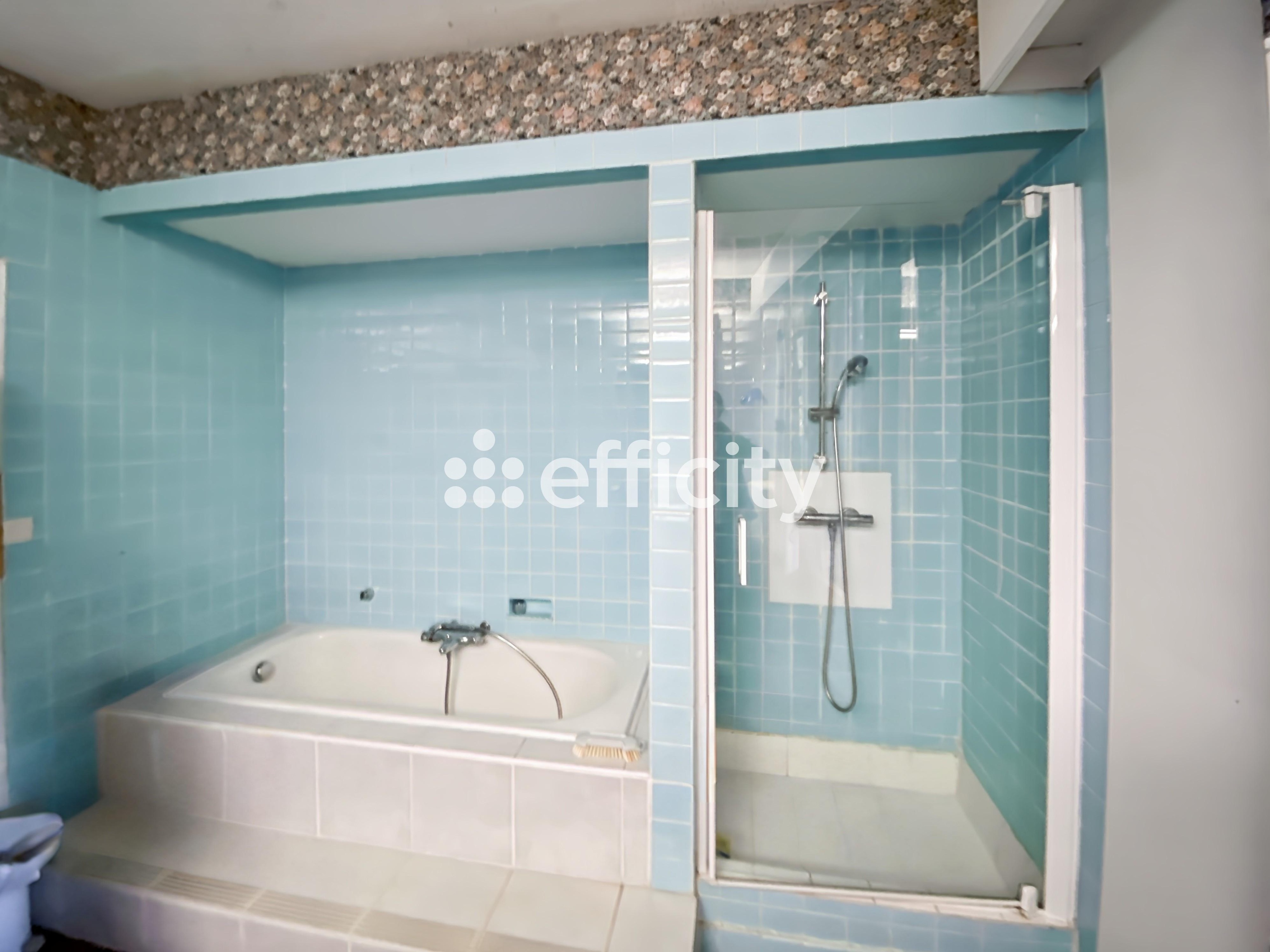 Achat immobilier Maison 9 pièces  223m2 à Laval (53000) - Photo n°12