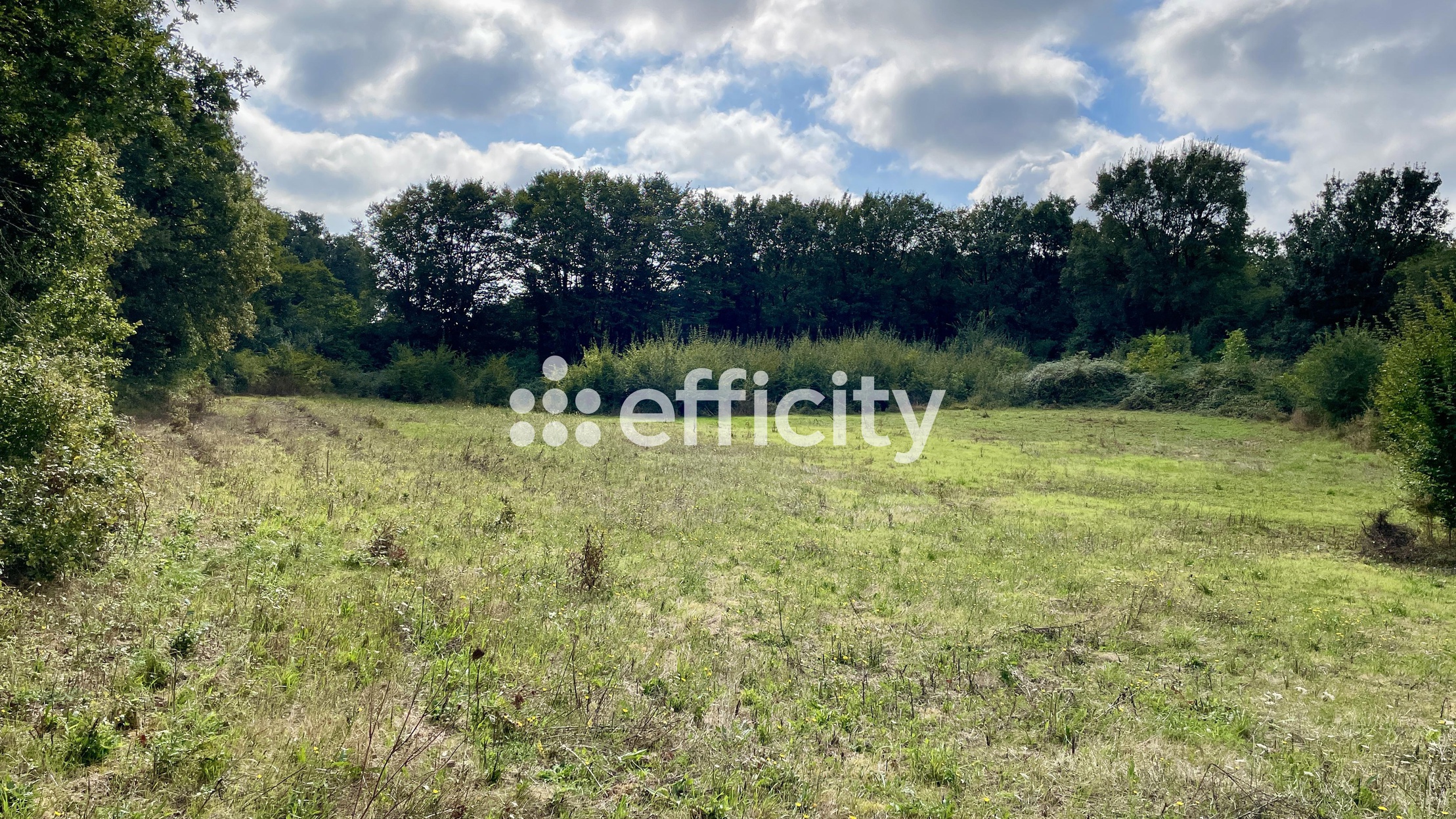 terrain  - 6260m2 à Blanzay (86400)