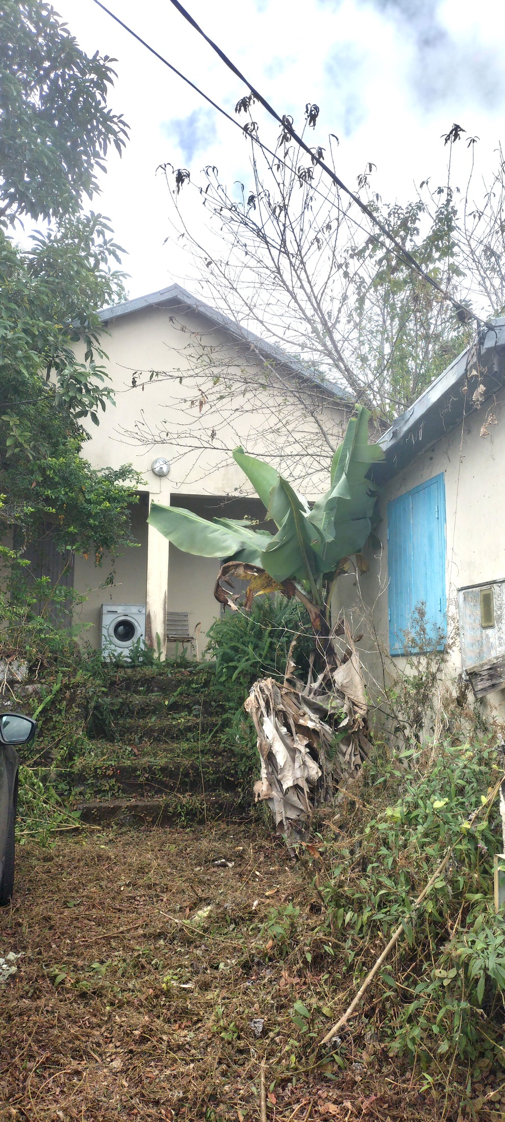 maison 13 pièces - 200m2 à Le Tampon (97430)