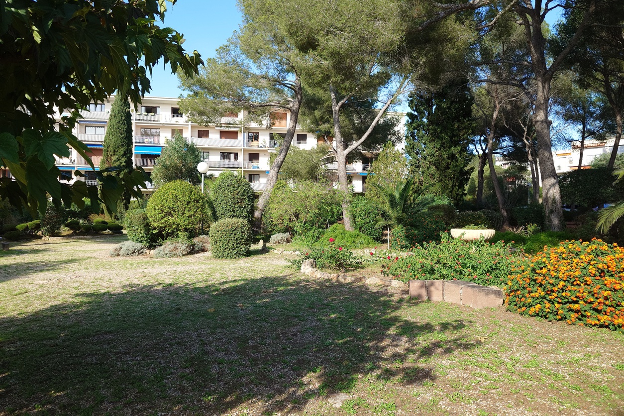 appartement 1 pièces - 27m2 à Saint-Raphaël (83700)