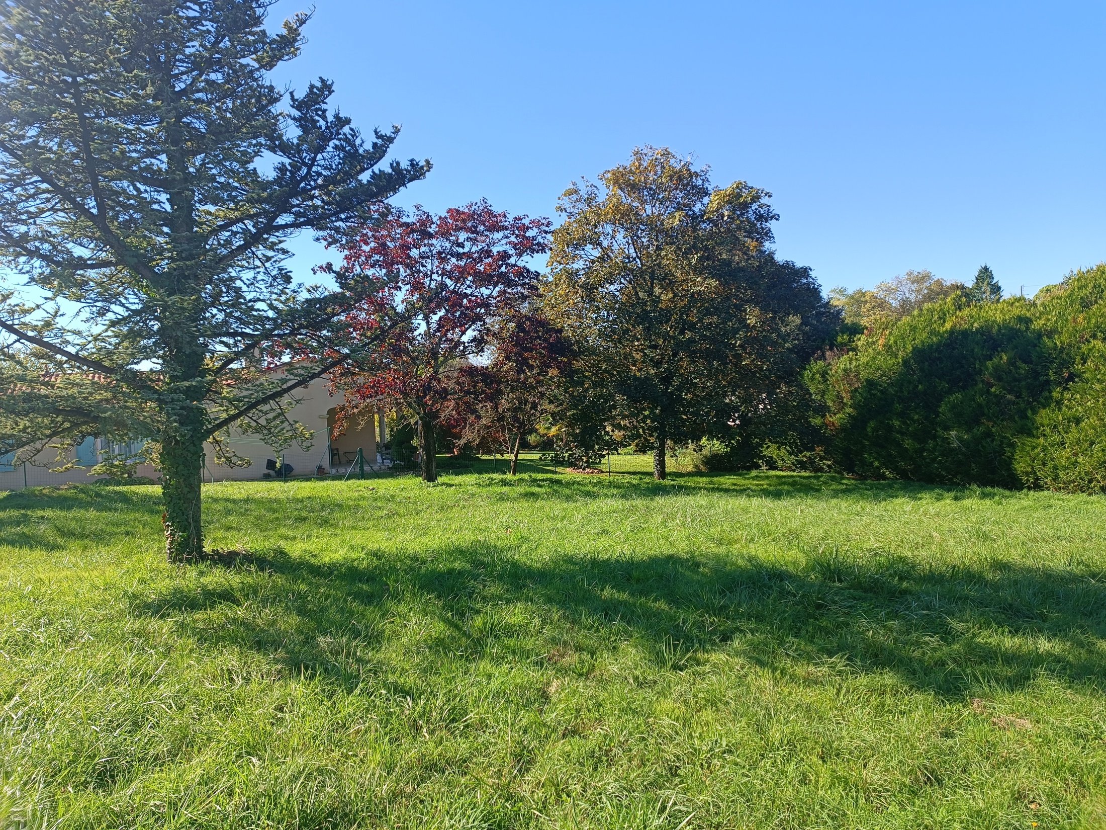 terrain  - 800m2 à Ruelle-sur-Touvre (16600)