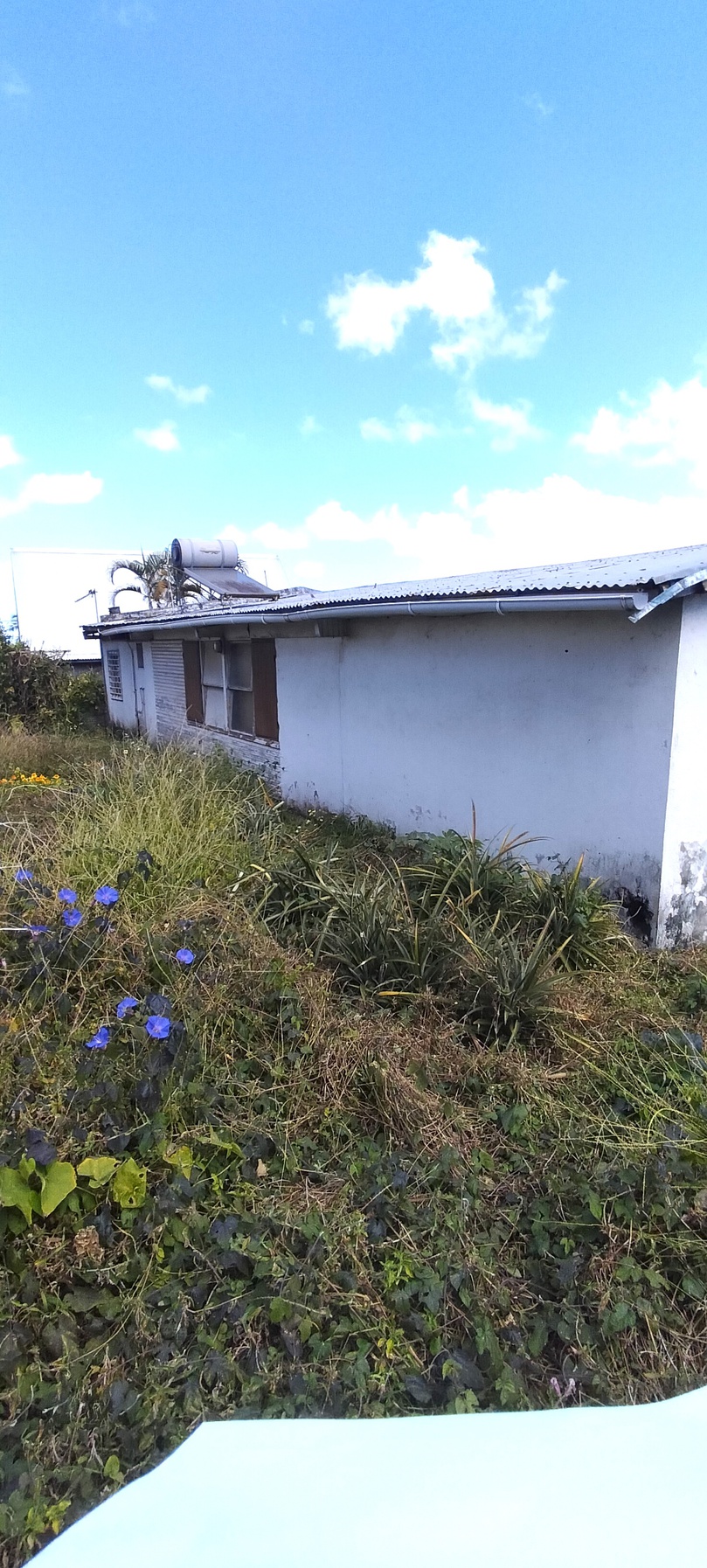 maison 3 pièces - 90m2 à Le Tampon (97430)