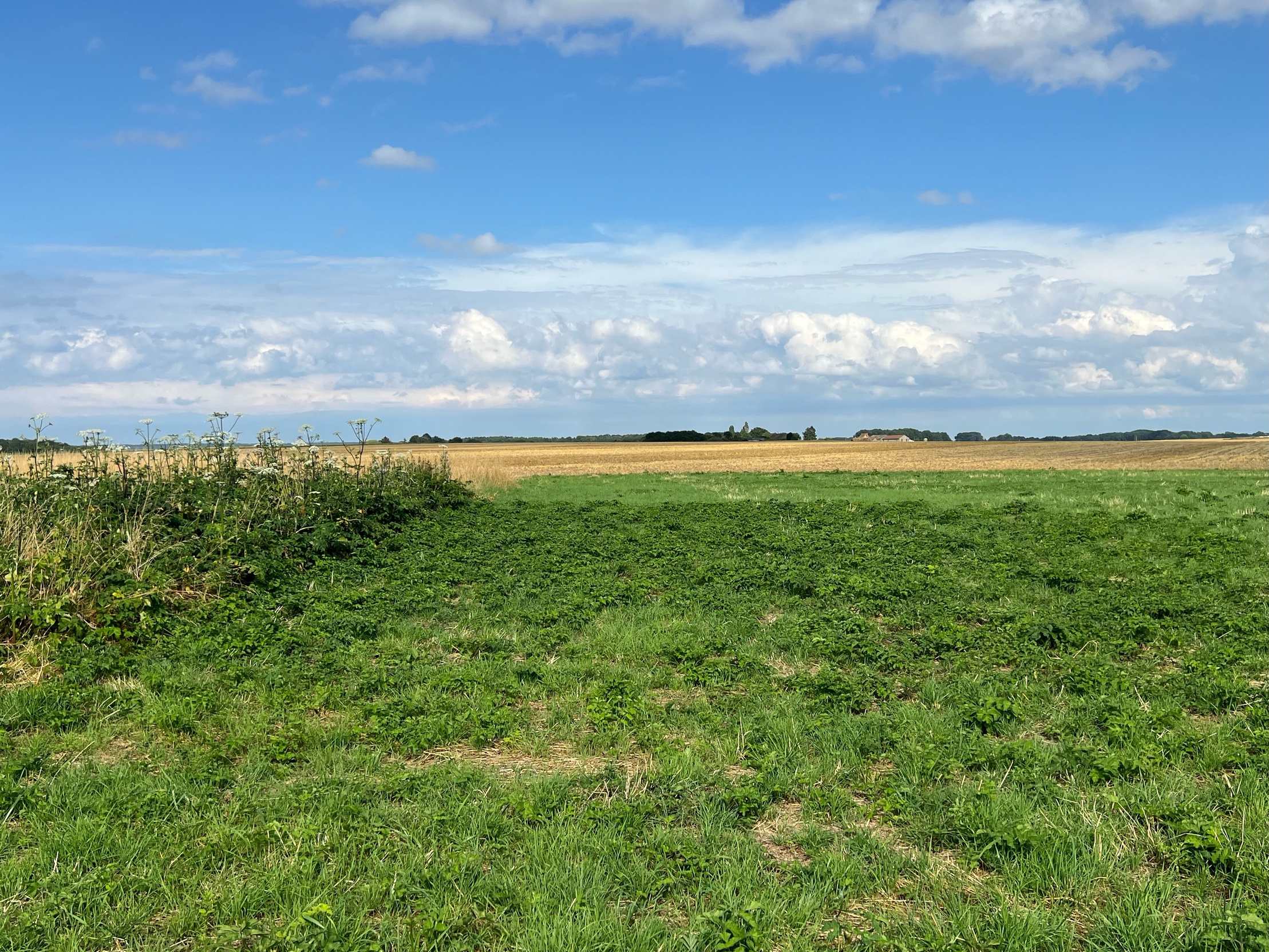 terrain  - 1787m2 à Civry-la-Forêt (78910)