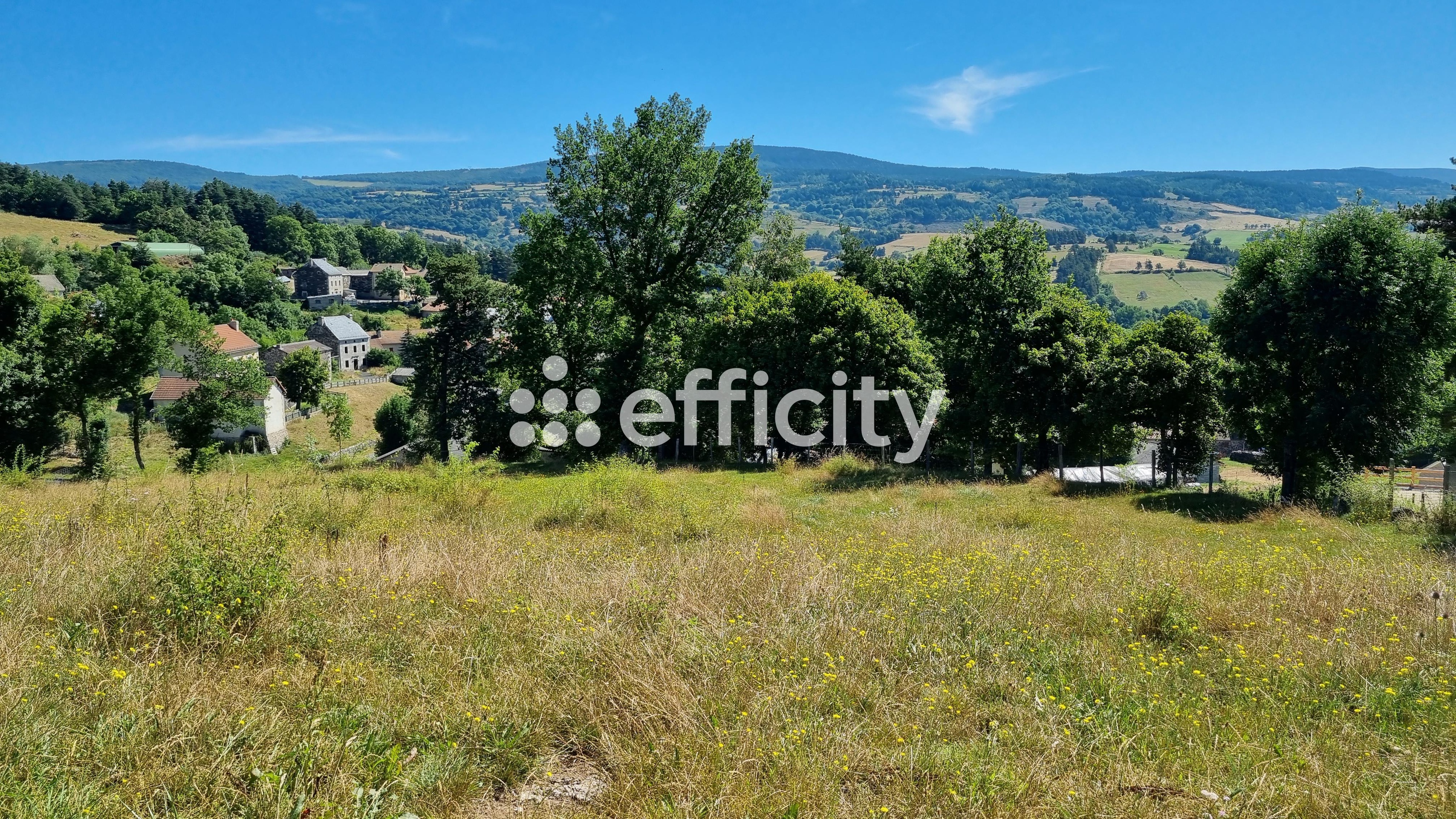 Achat immobilier Terrain   5185m2 à Saint-Léger-du-Malzieu (48140) - Photo n°1