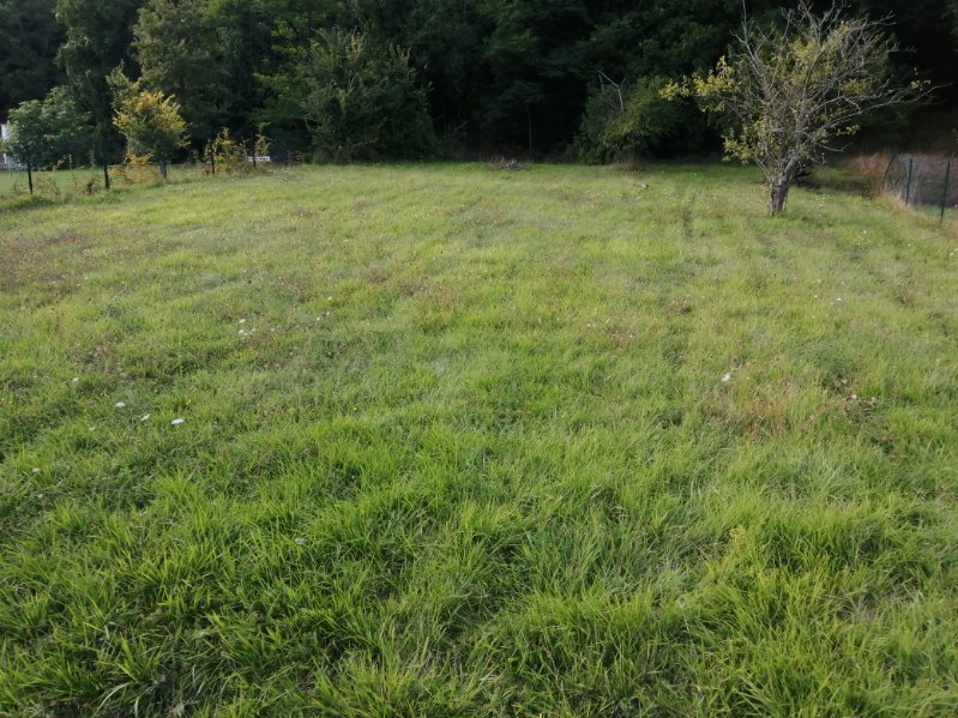 Achat terrain 1250 m2 CravantlesCôteaux (37500)