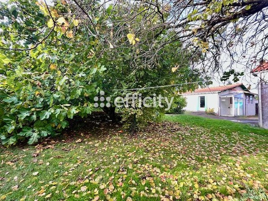 Achat immobilier Maison 3 pièces  70m2 à Meschers-sur-Gironde (17132) - Photo n°1