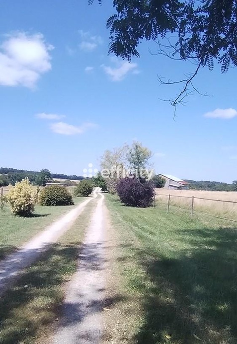 Achat immobilier Maison 15 pièces  415m2 à Saint-Martin-de-Coux (17360) - Photo n°5