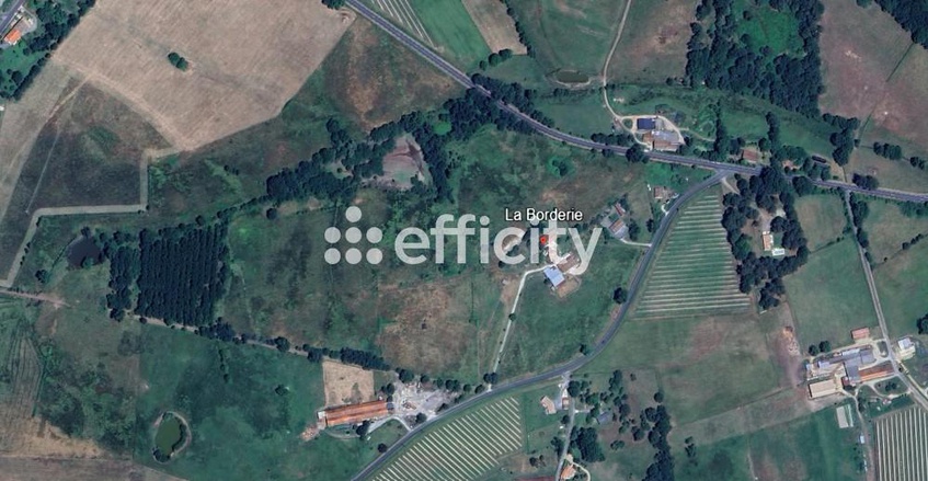 Achat immobilier Maison 15 pièces  415m2 à Saint-Martin-de-Coux (17360) - Photo n°4