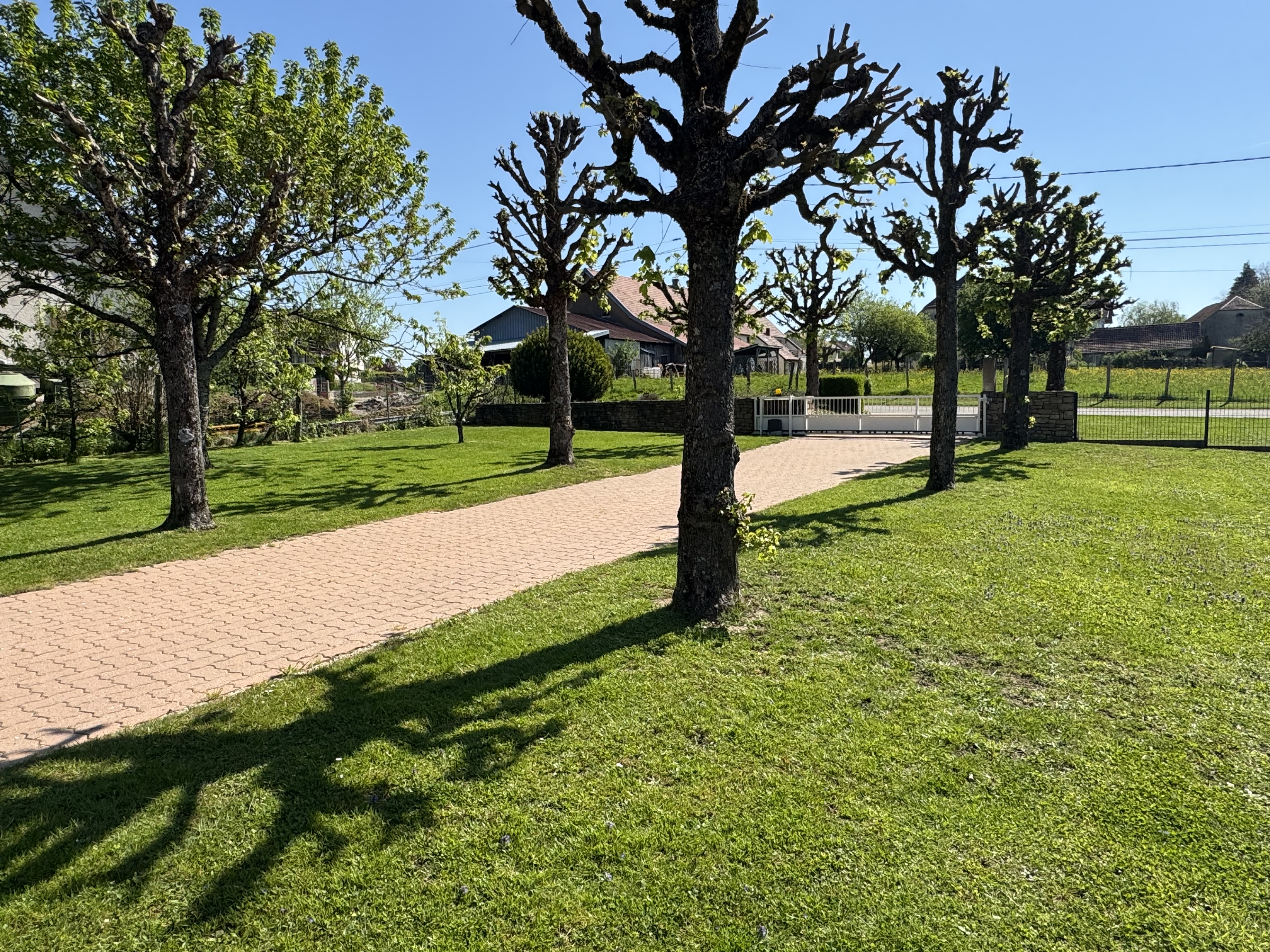 Achat immobilier Maison 4 pièces  83m2 à Abbévillers (25310) - Photo n°4