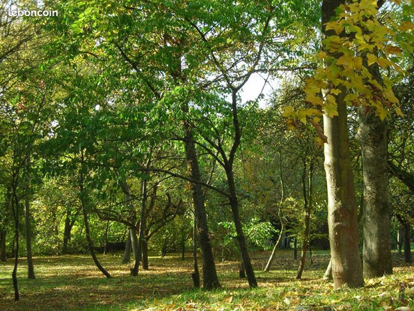 Achat immobilier Terrain   2042m2 à Laneuveville-devant-Nancy (54410) - Photo n°4