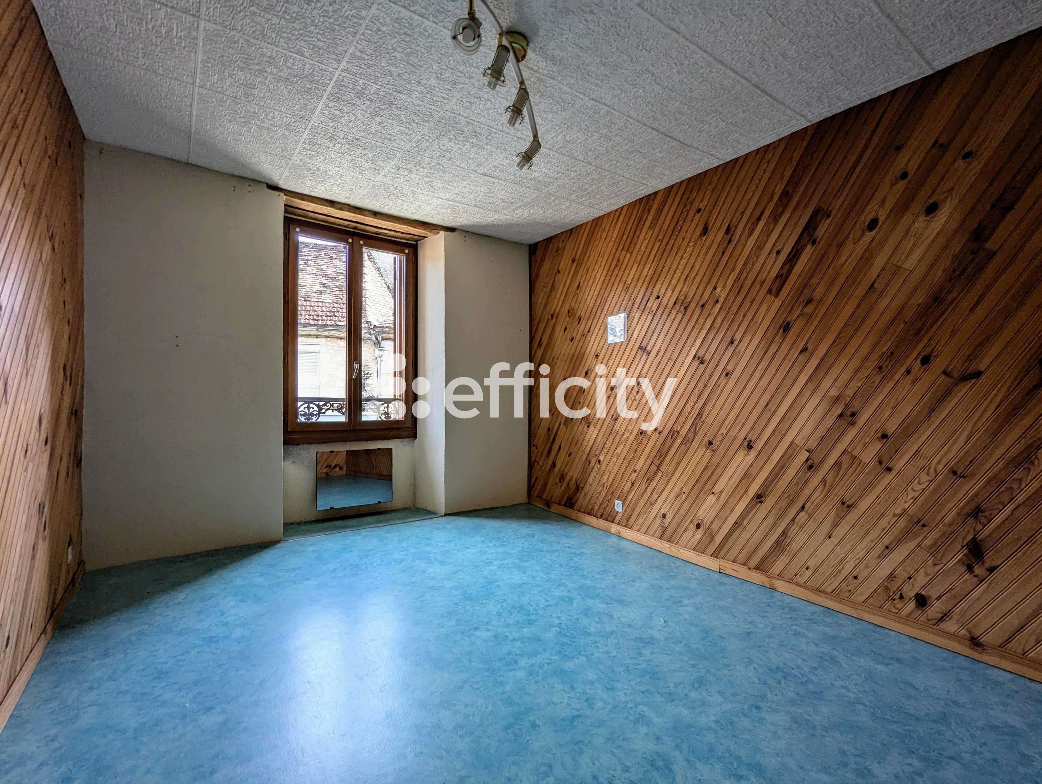 Achat immobilier Maison 6 pièces  170m2 à Savignac-les-Églises (24420) - Photo n°7
