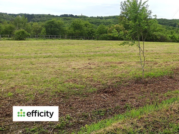 Achat immobilier Terrain   5300m2 à Boissières (46150) - Photo n°5