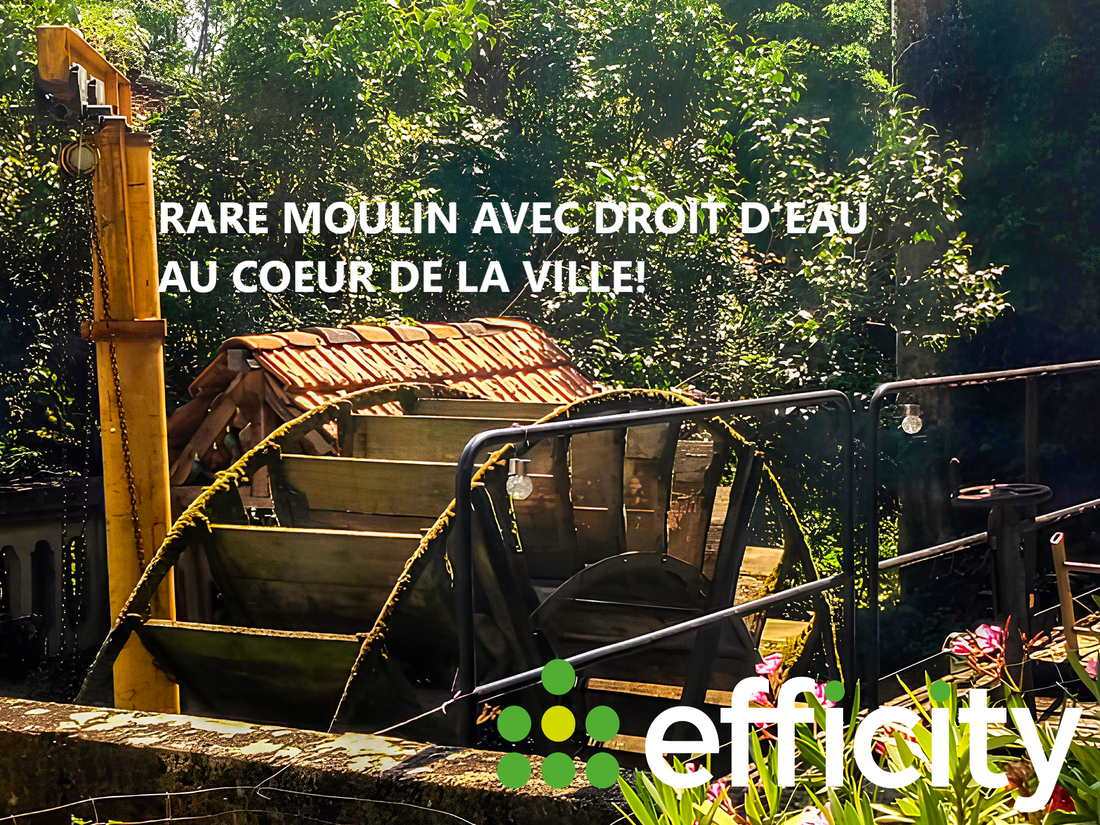 maison 7 pièces - 187m2 à Saint-Amour (39160)