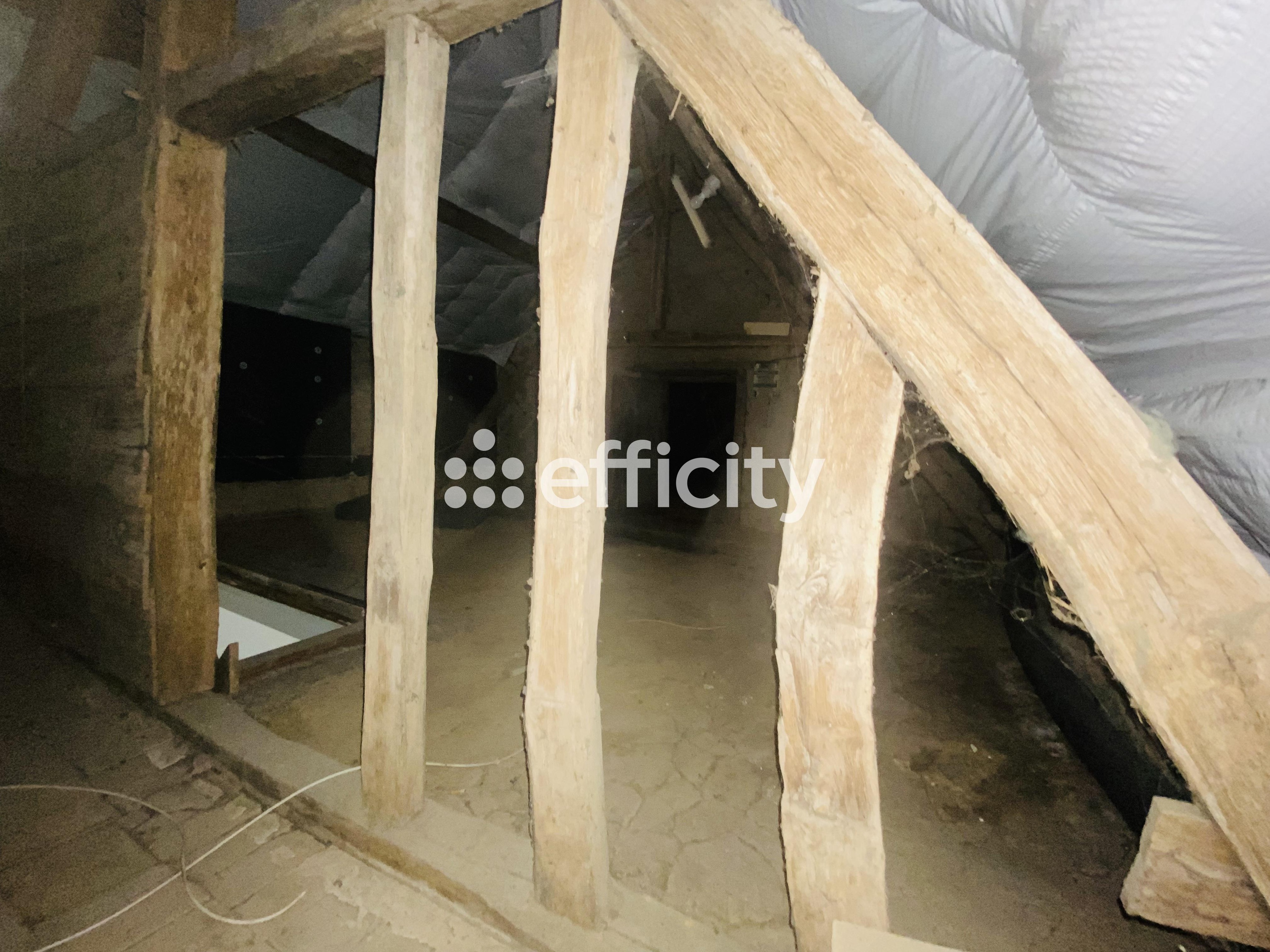 Achat immobilier Maison 4 pièces  95m2 à Semur-en-Vallon (72390) - Photo n°11