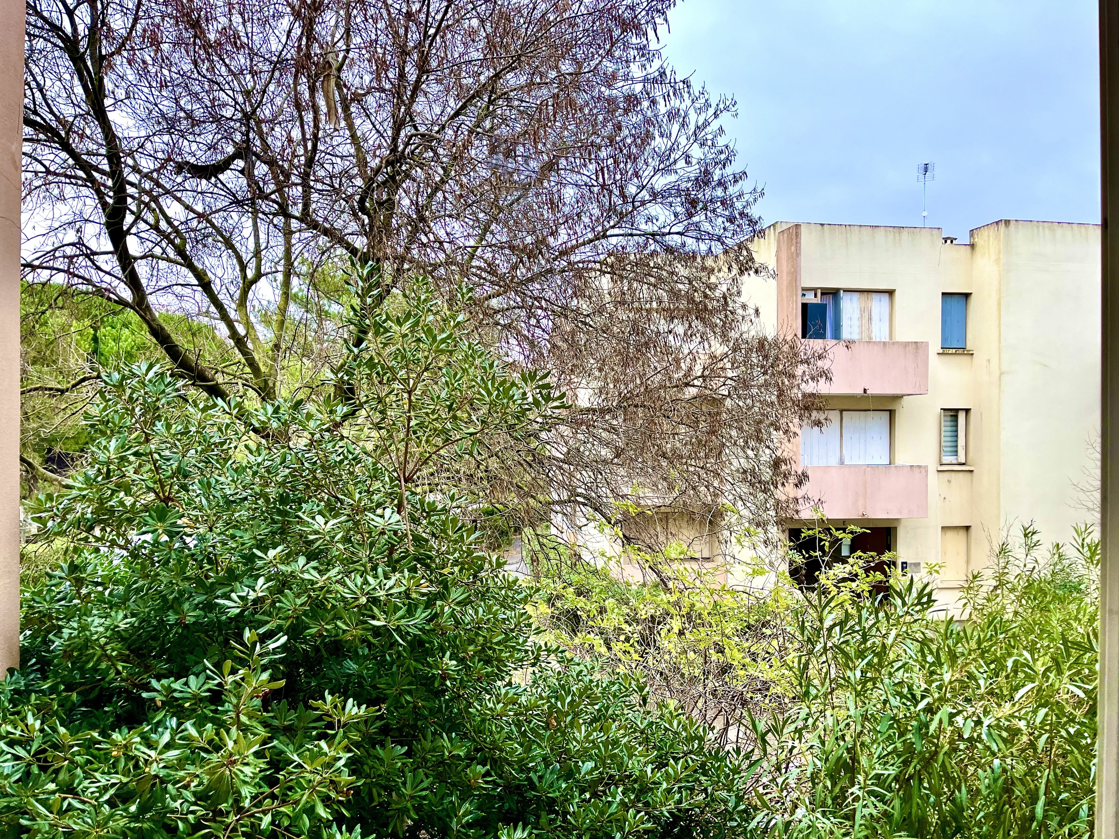 appartement 1 pièces - 21m2 à Montpellier (34090)