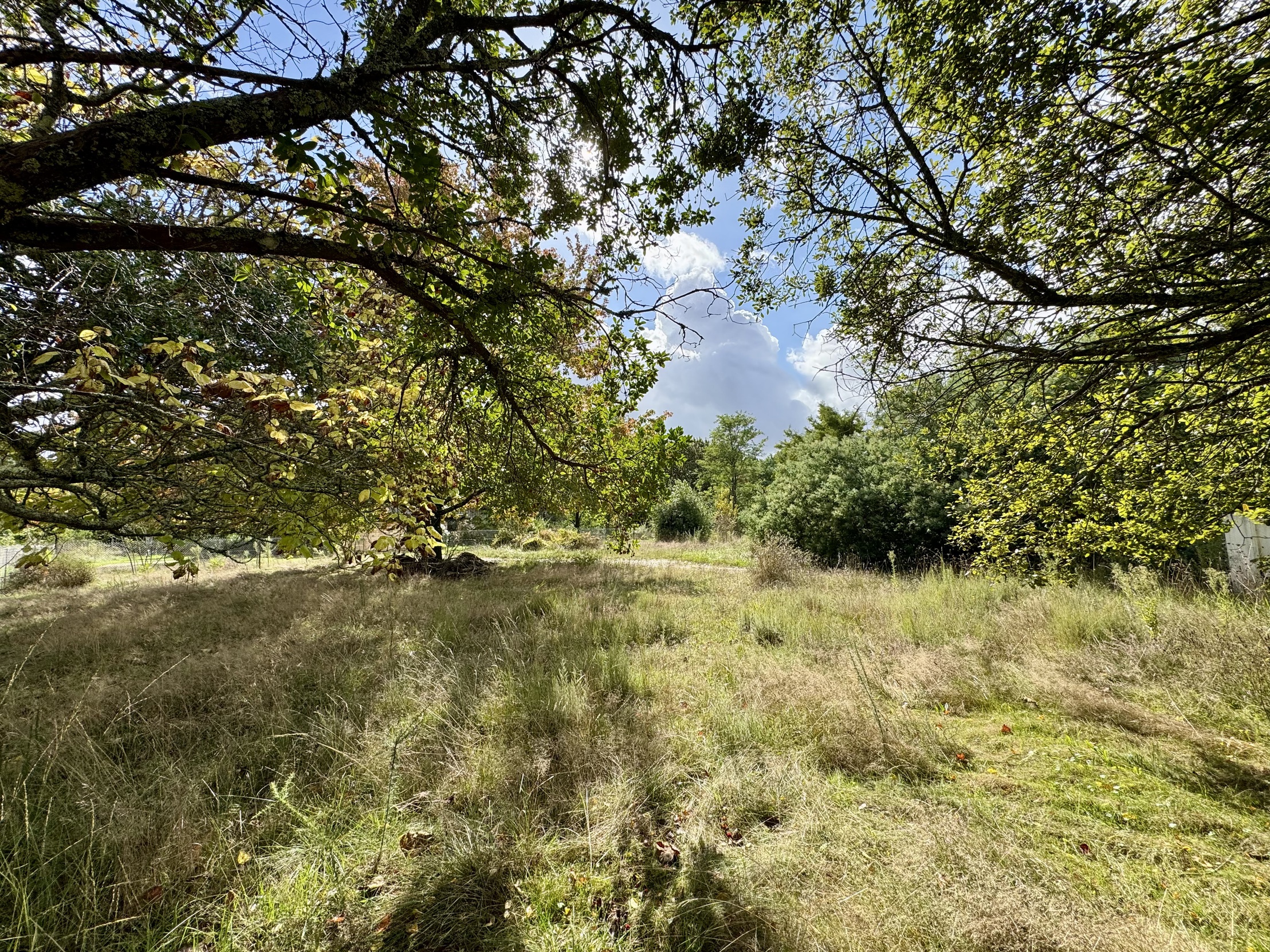 terrain  - 2000m2 à Pessac (33600)