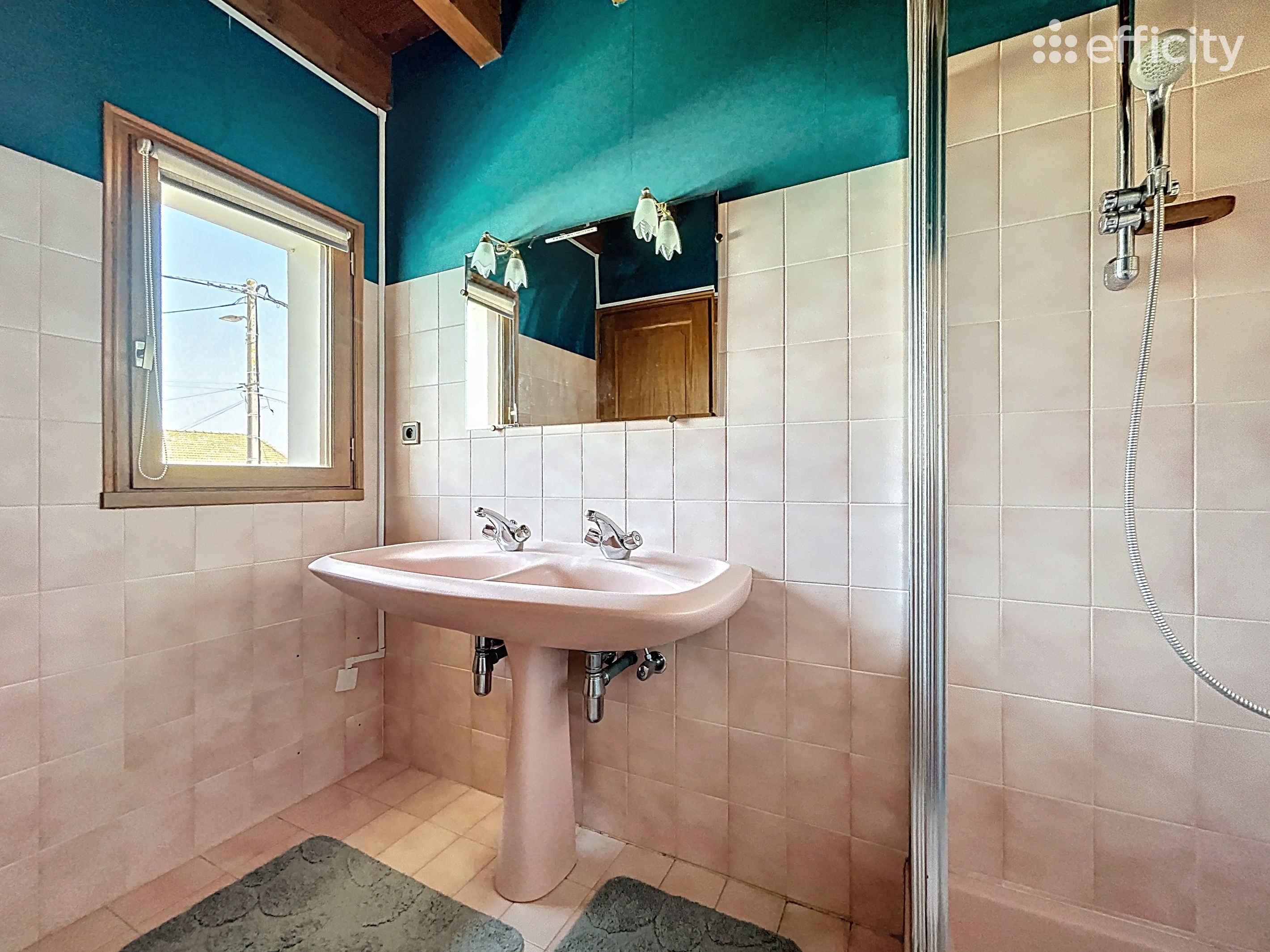 Achat immobilier Maison 6 pièces  194m2 à Bougé-Chambalud (38150) - Photo n°16