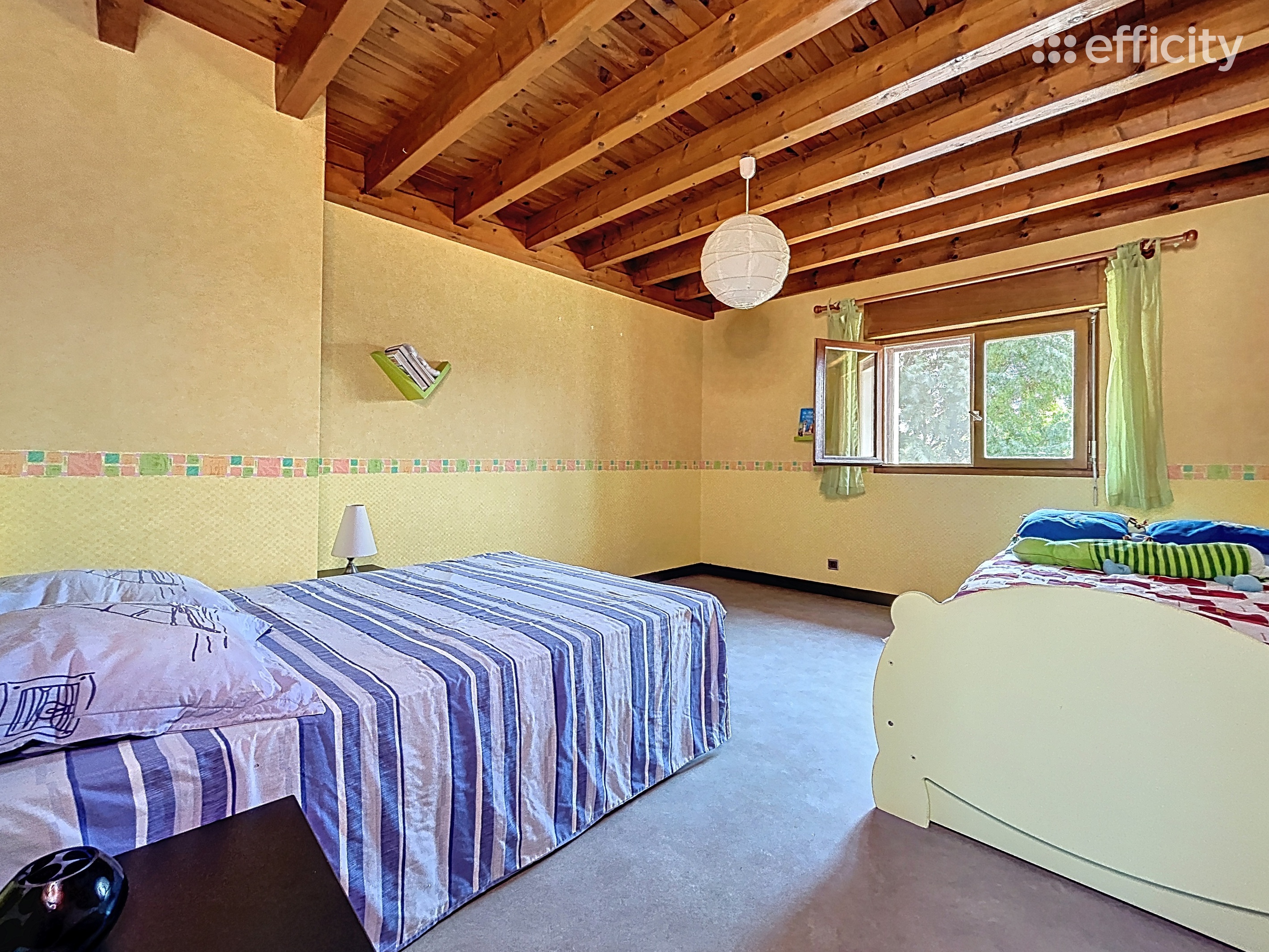 Achat immobilier Maison 6 pièces  194m2 à Bougé-Chambalud (38150) - Photo n°13