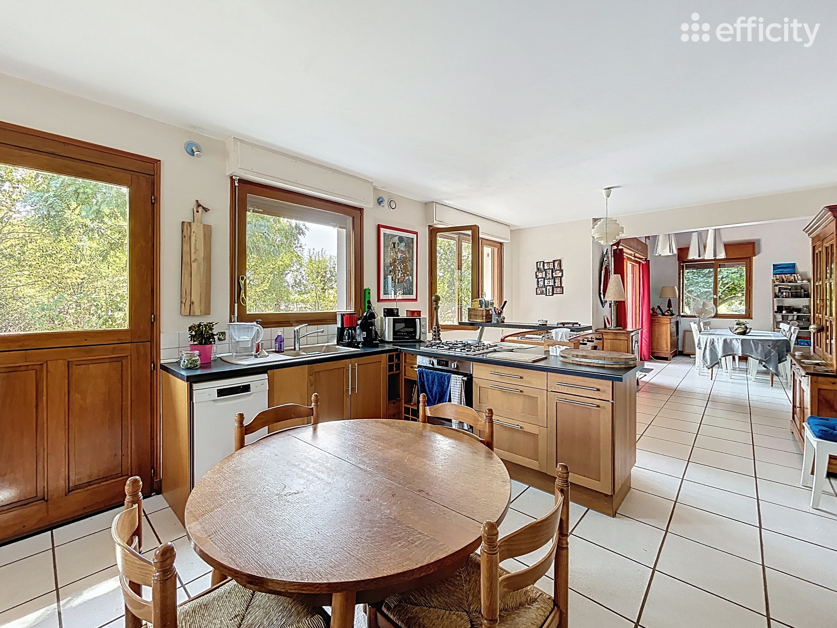 Achat immobilier Maison 6 pièces  194m2 à Bougé-Chambalud (38150) - Photo n°8
