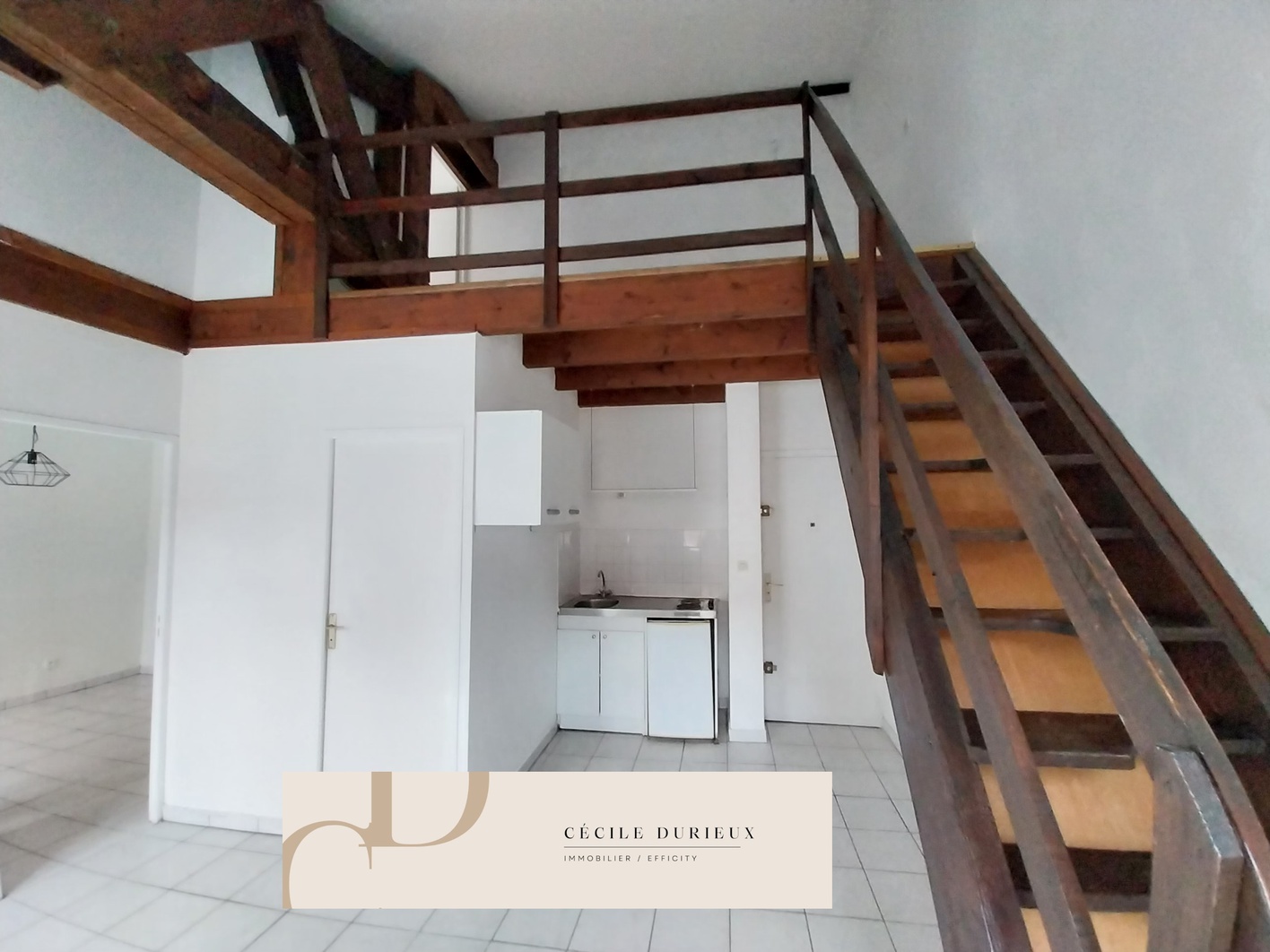 appartement 3 pièces - 50m2 à Villeurbanne (69100)