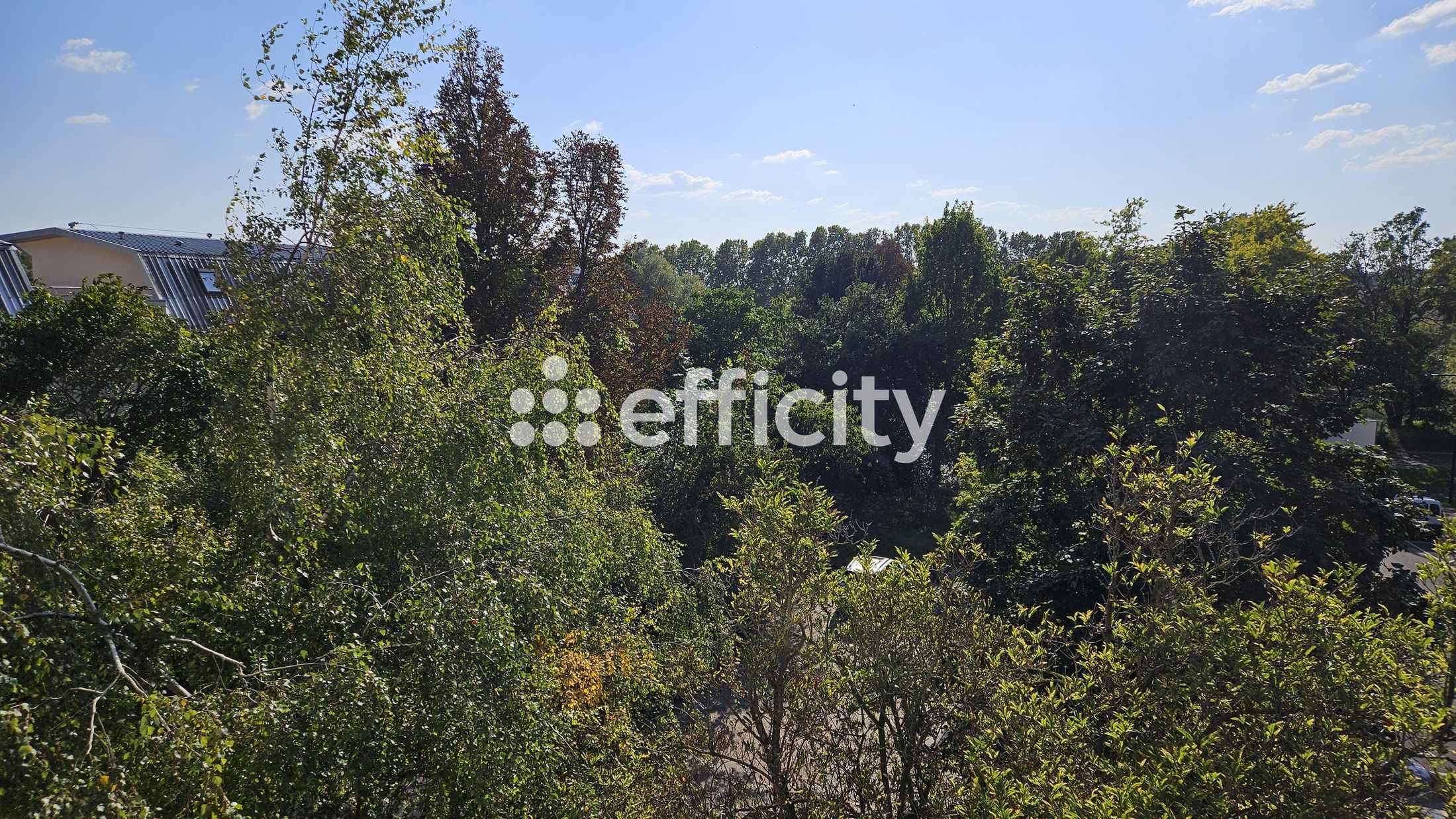 appartement 4 pièces - 83m2 à Champigny-sur-Marne (94500)