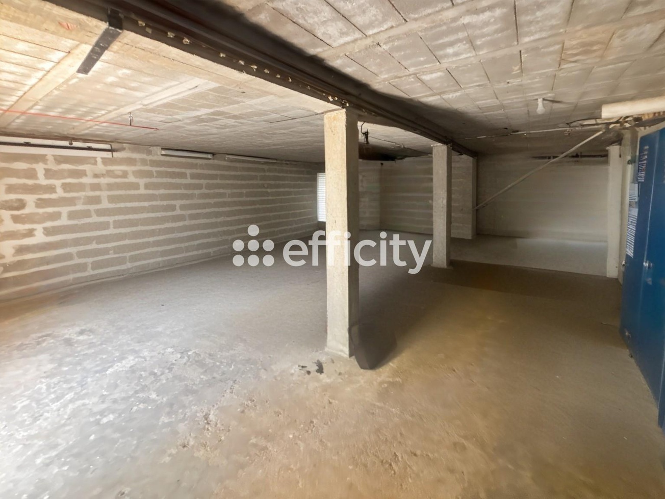 Achat immobilier Maison 5 pièces  130m2 à Saint-Césaire (17770) - Photo n°5