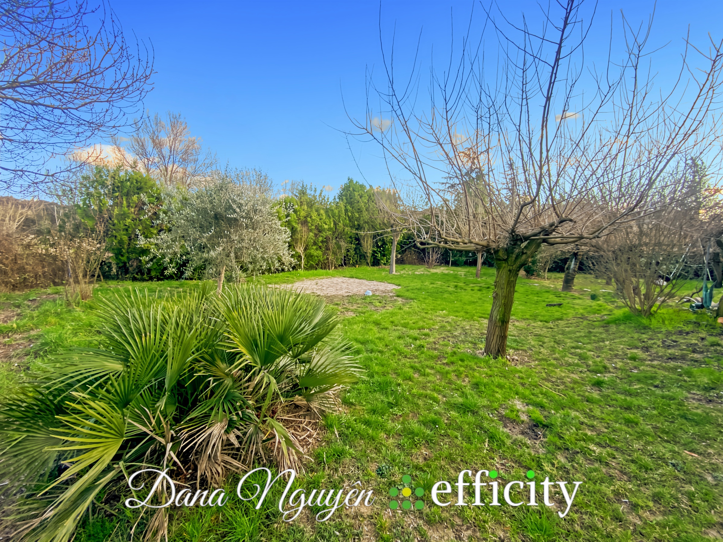 Achat immobilier Maison 9 pièces  154m2 à Saint-Privat-des-Vieux (30340) - Photo n°19