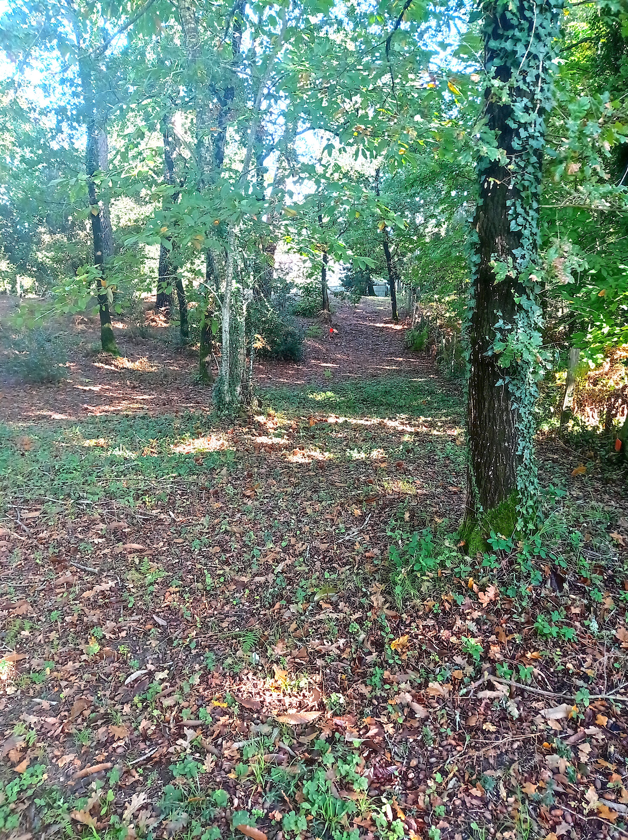 Achat immobilier Terrain   857m2 à Les Mathes (17570) - Photo n°1