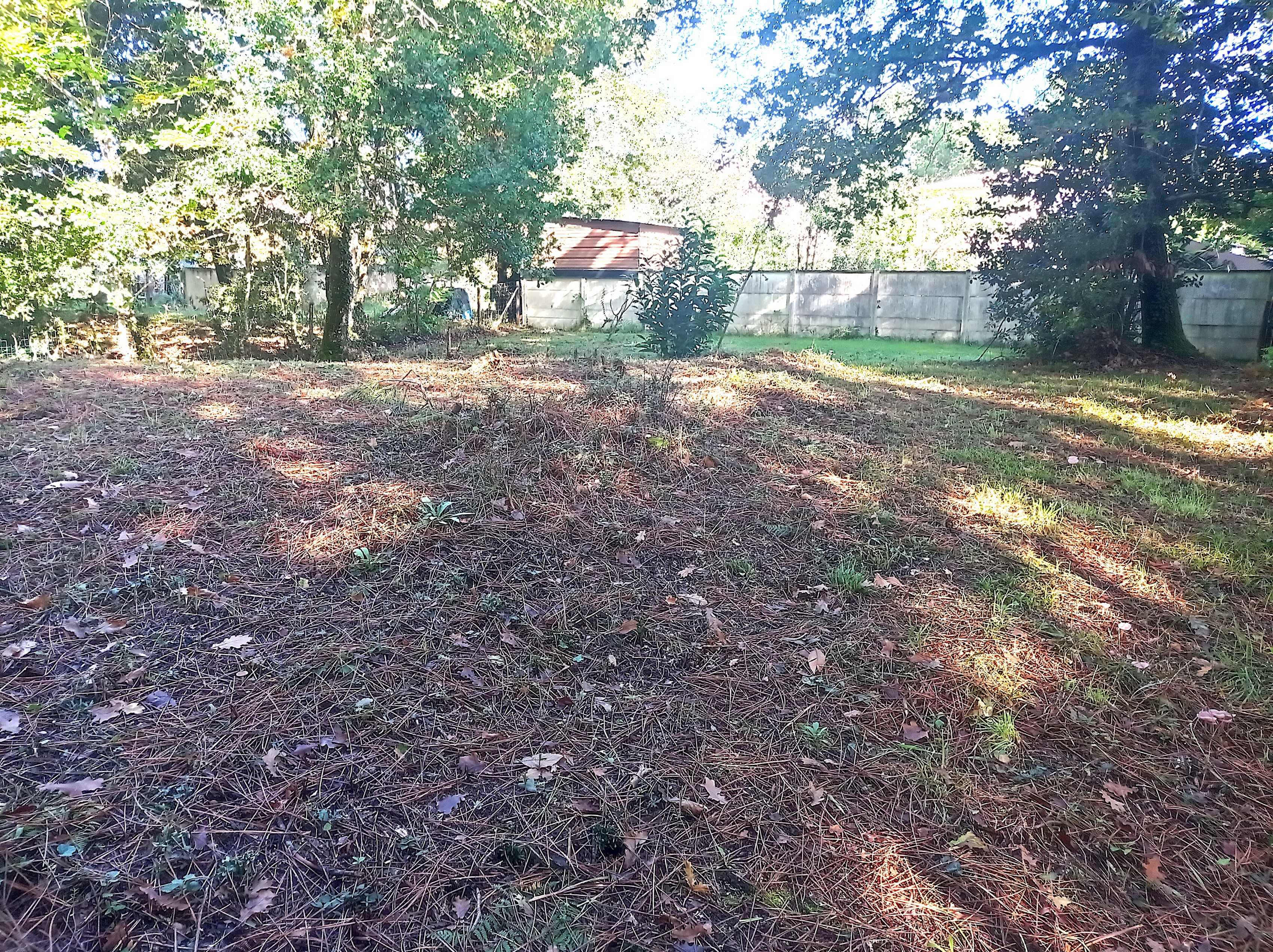 Achat immobilier Terrain   857m2 à Les Mathes (17570) - Photo n°4