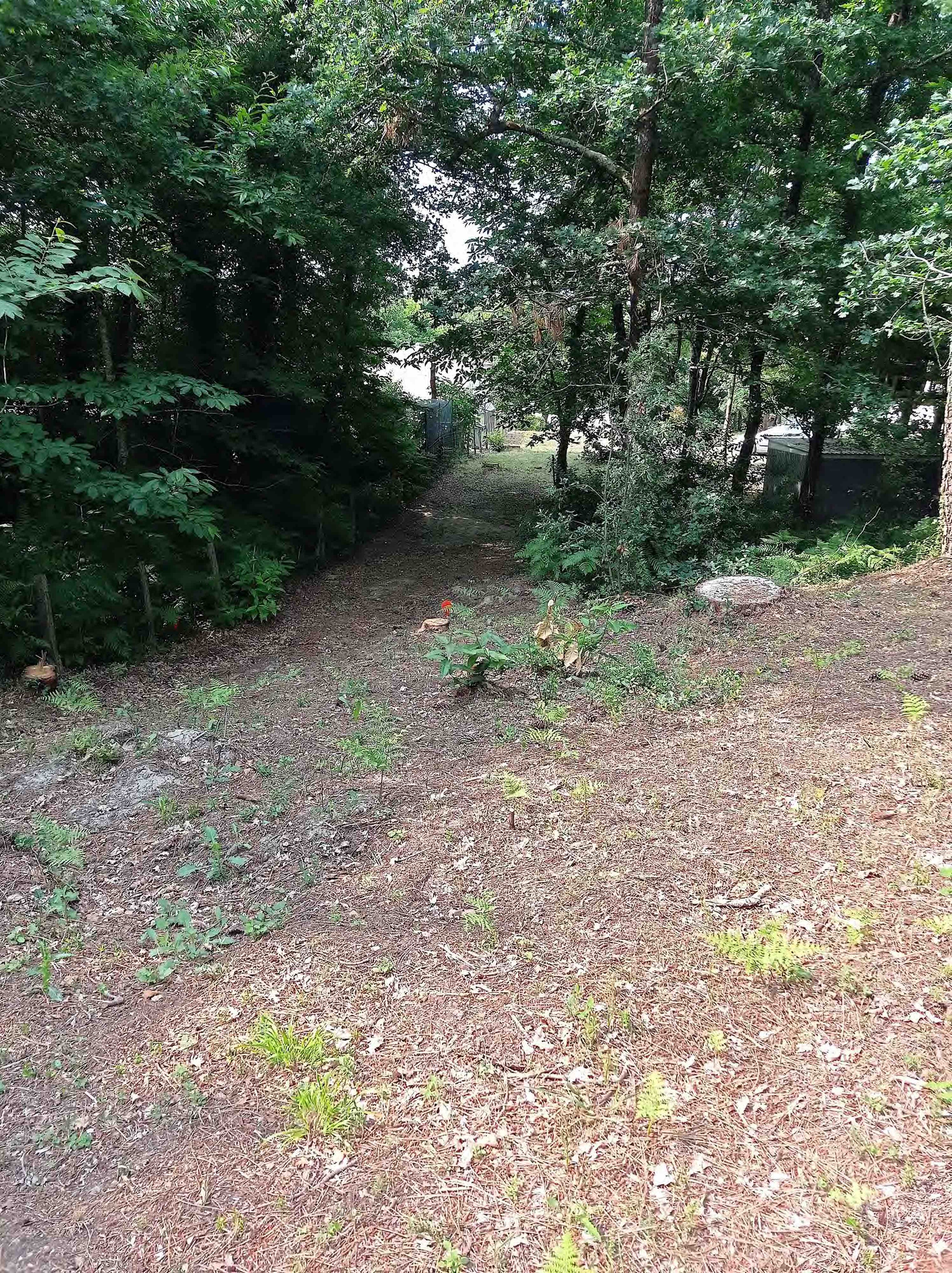 Achat immobilier Terrain   857m2 à Les Mathes (17570) - Photo n°9