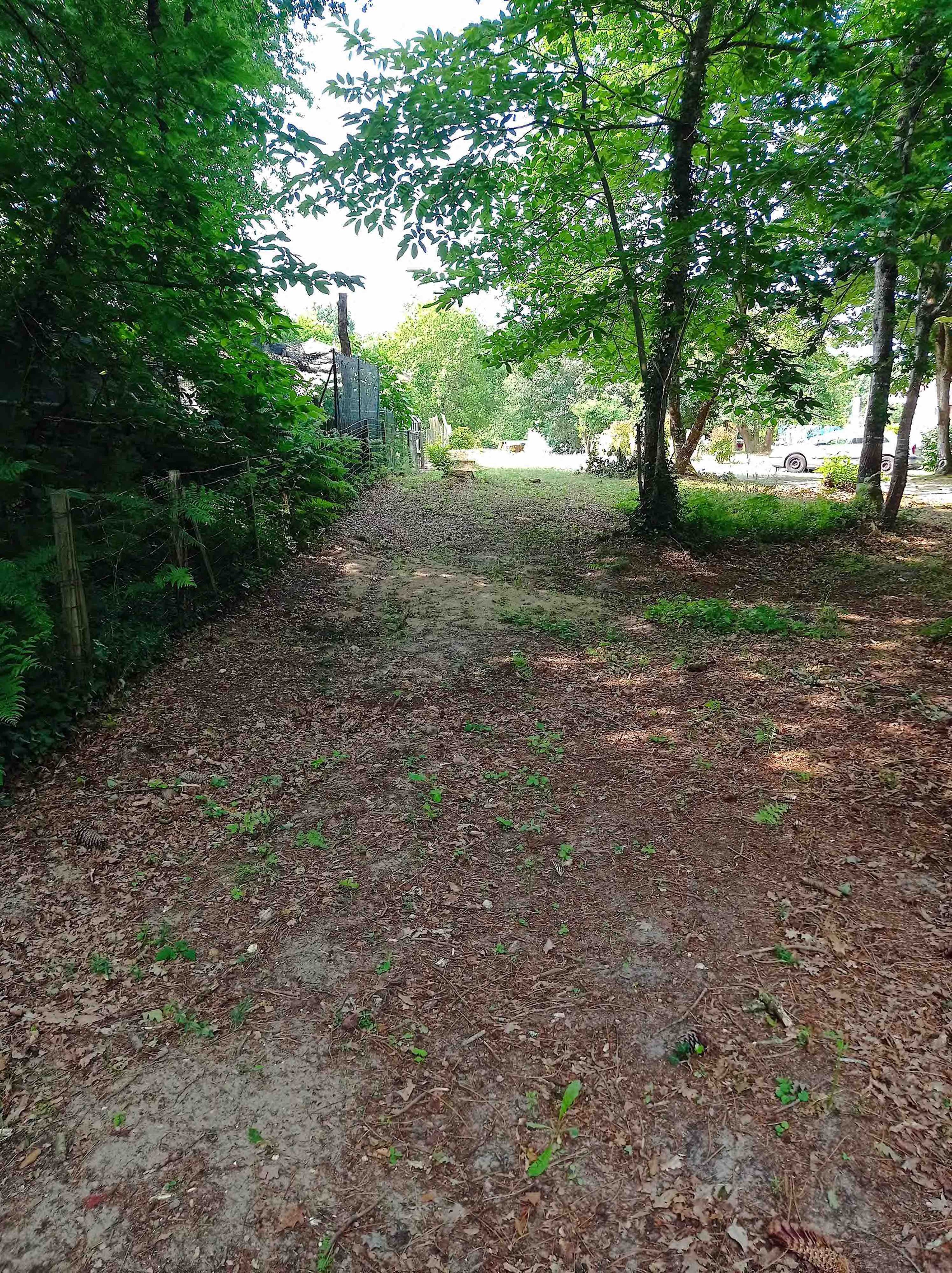 Achat immobilier Terrain   857m2 à Les Mathes (17570) - Photo n°6