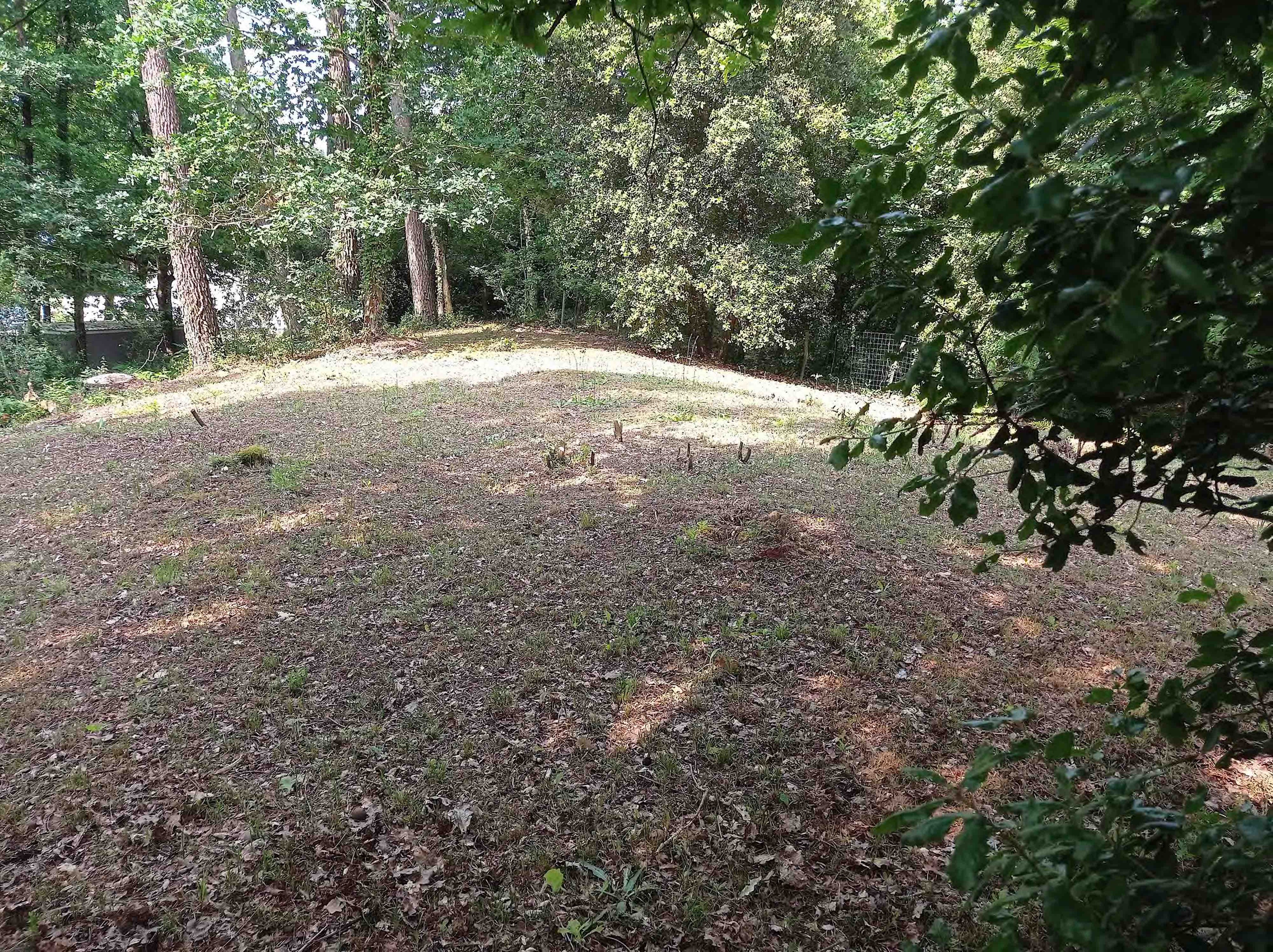 Achat immobilier Terrain   857m2 à Les Mathes (17570) - Photo n°8