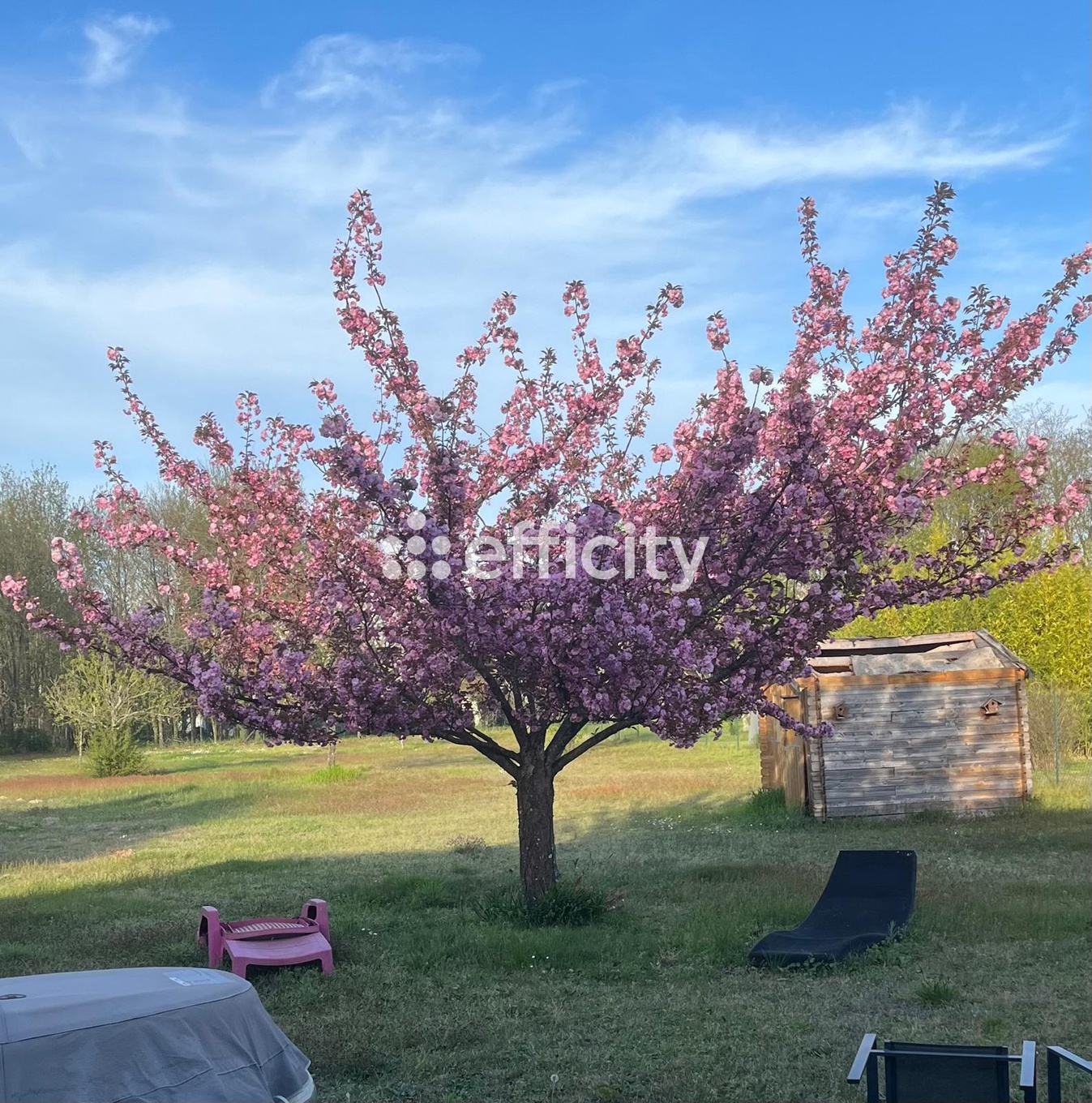 Achat immobilier Maison 7 pièces  171m2 à Chailles (41120) - Photo n°1