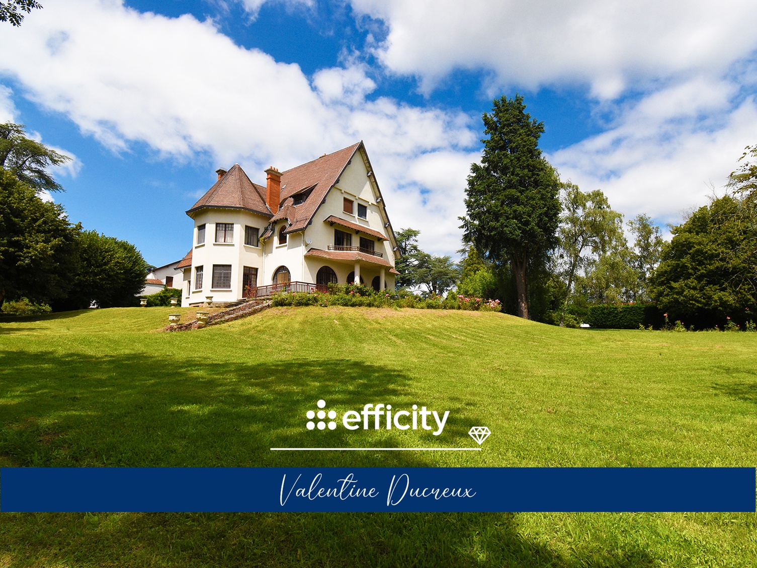 Achat immobilier Maison 16 pièces  450m2 à Chazelles-sur-Lyon (42140) - Photo n°1