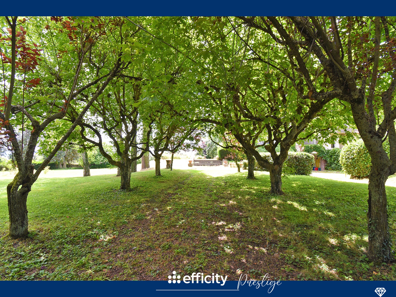 Achat immobilier Maison 16 pièces  450m2 à Chazelles-sur-Lyon (42140) - Photo n°6