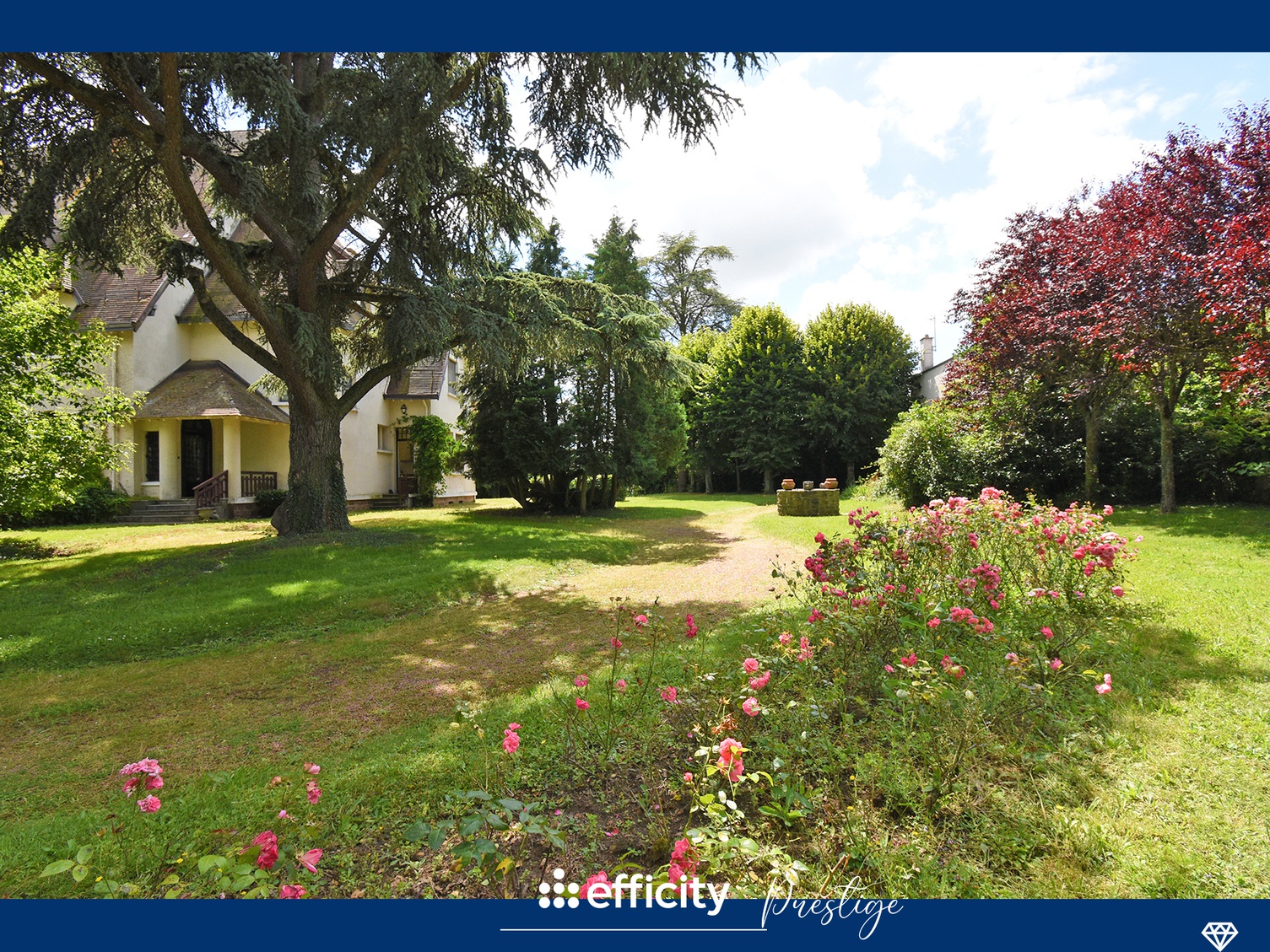 Achat immobilier Maison 16 pièces  450m2 à Chazelles-sur-Lyon (42140) - Photo n°5