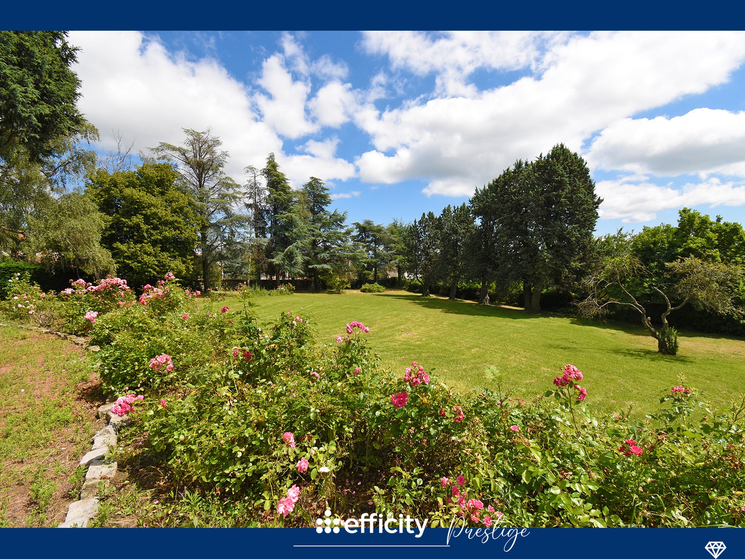 Achat immobilier Maison 16 pièces  450m2 à Chazelles-sur-Lyon (42140) - Photo n°7