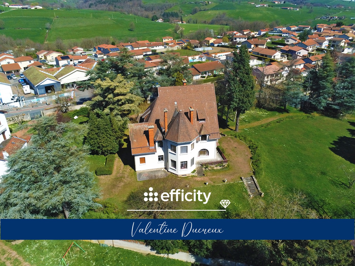 Achat immobilier Maison 16 pièces  450m2 à Chazelles-sur-Lyon (42140) - Photo n°19