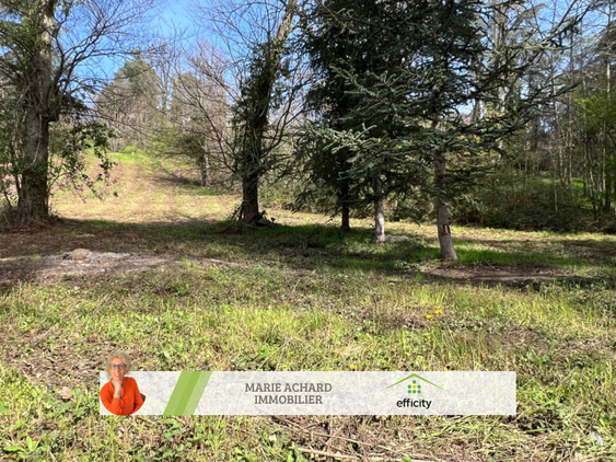 terrain  - 2320m2 à Saint-Martin-la-Plaine (42800)