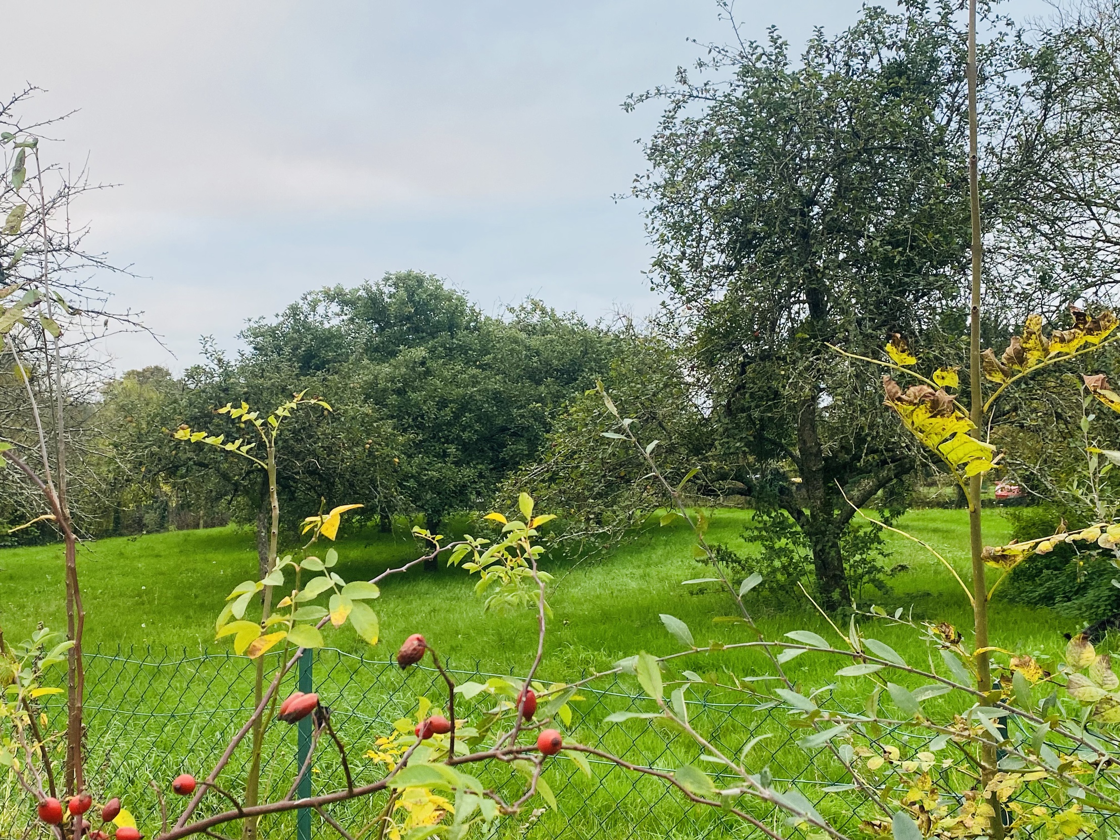 maison 3 pièces - 67m2 à Saint-Germain-de-la-Coudre (61130)