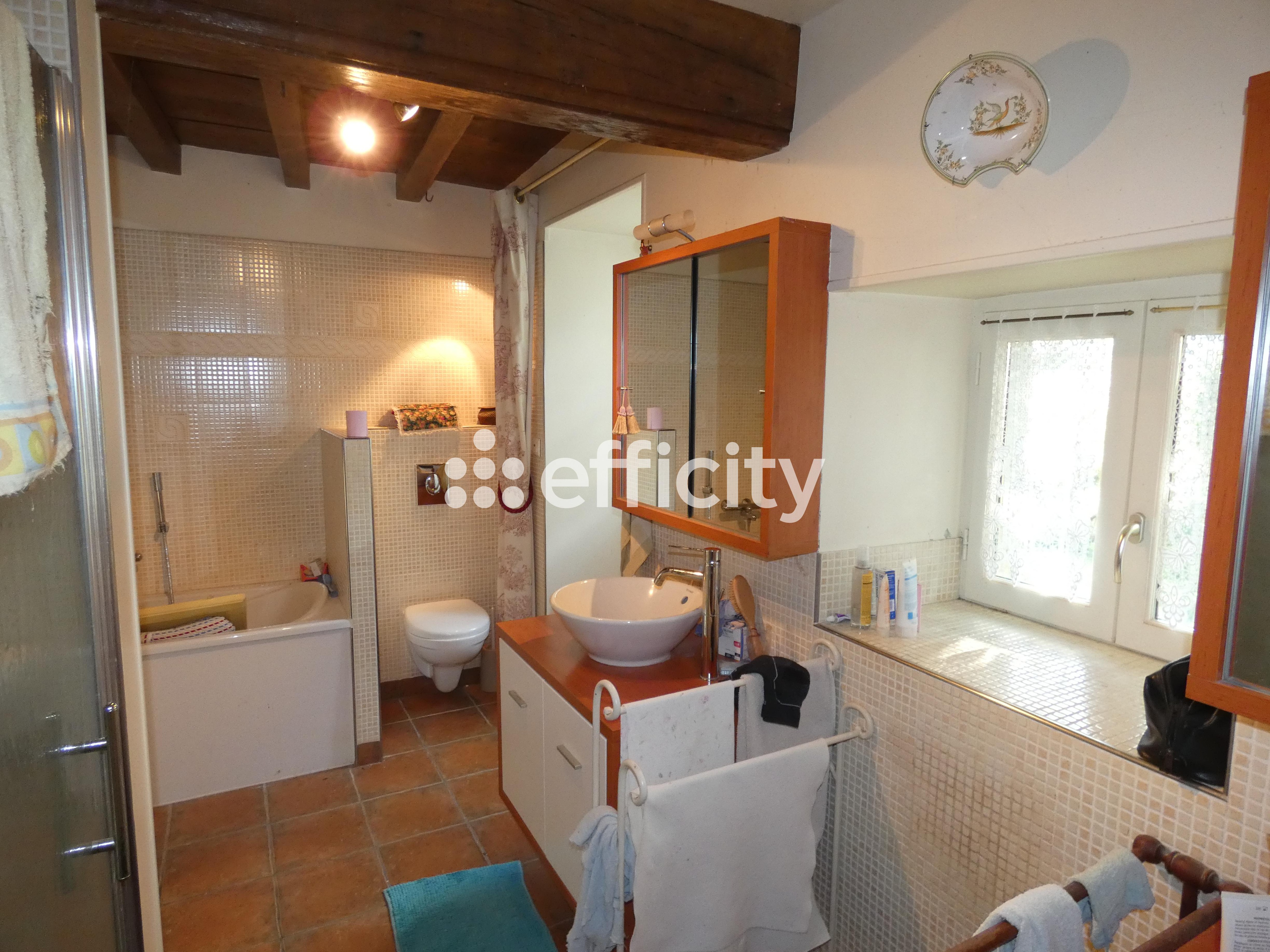 Achat immobilier Maison 10 pièces  307m2 à Charroux (03140) - Photo n°11