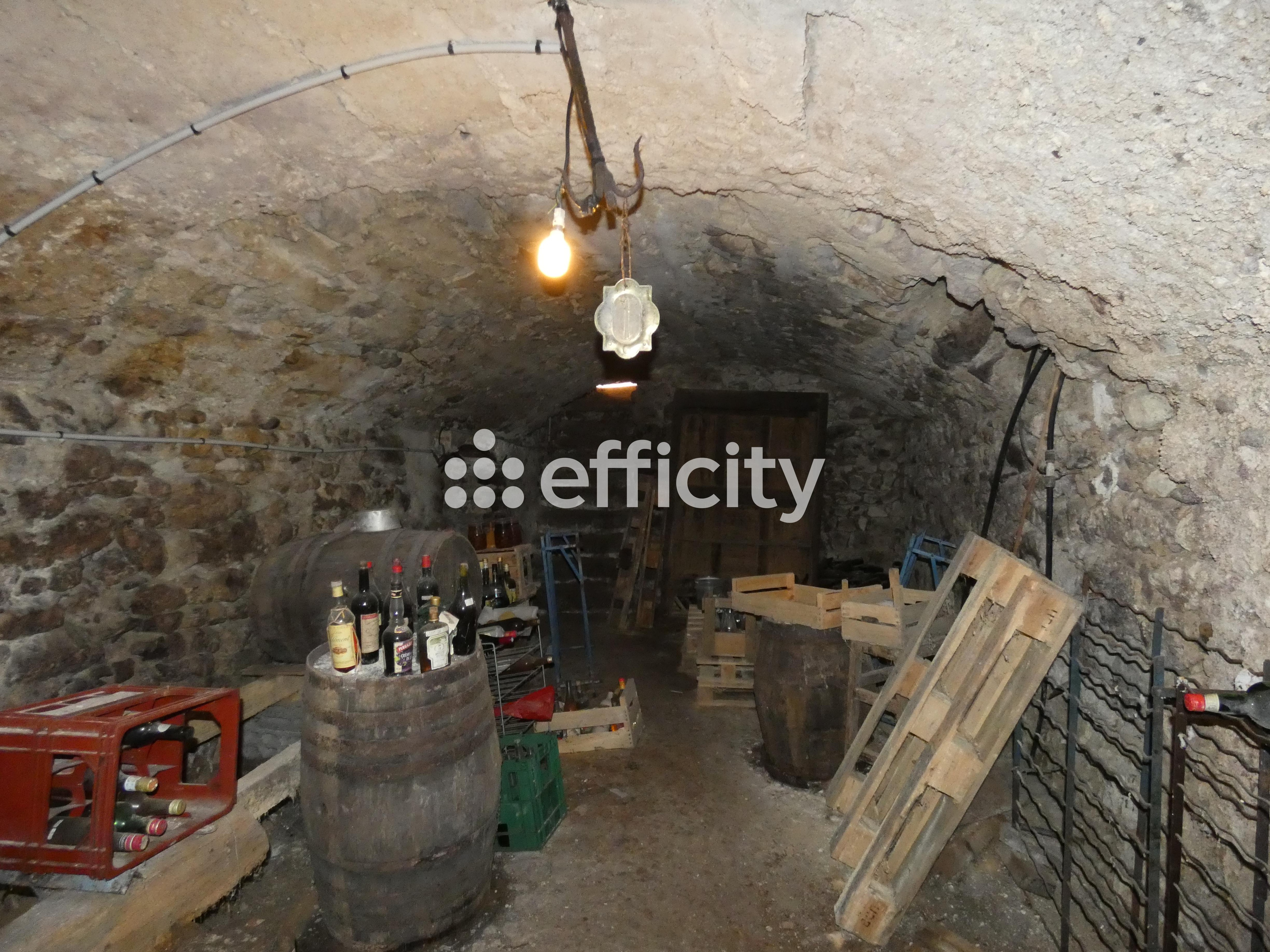 Achat immobilier Maison 10 pièces  307m2 à Charroux (03140) - Photo n°18