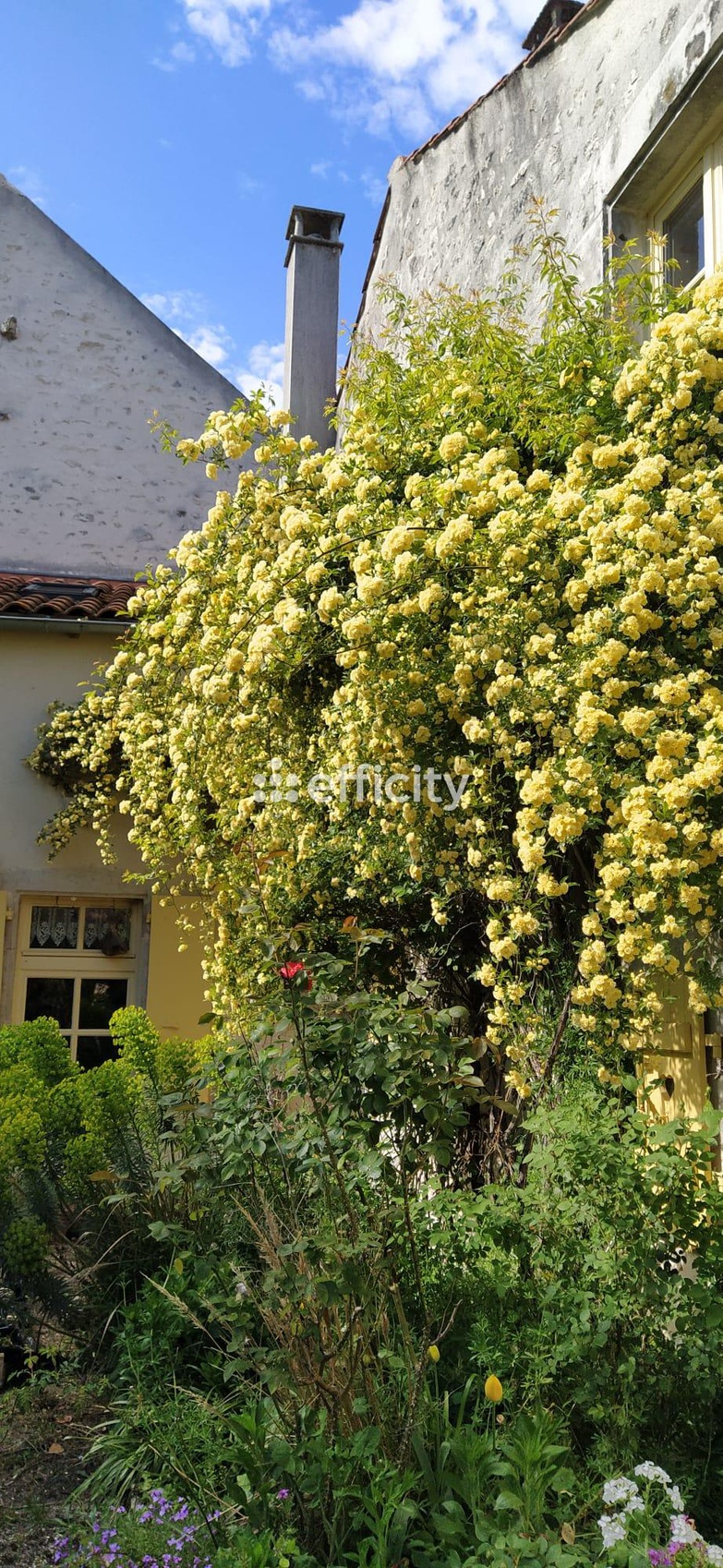 Achat immobilier Maison 10 pièces  307m2 à Charroux (03140) - Photo n°16