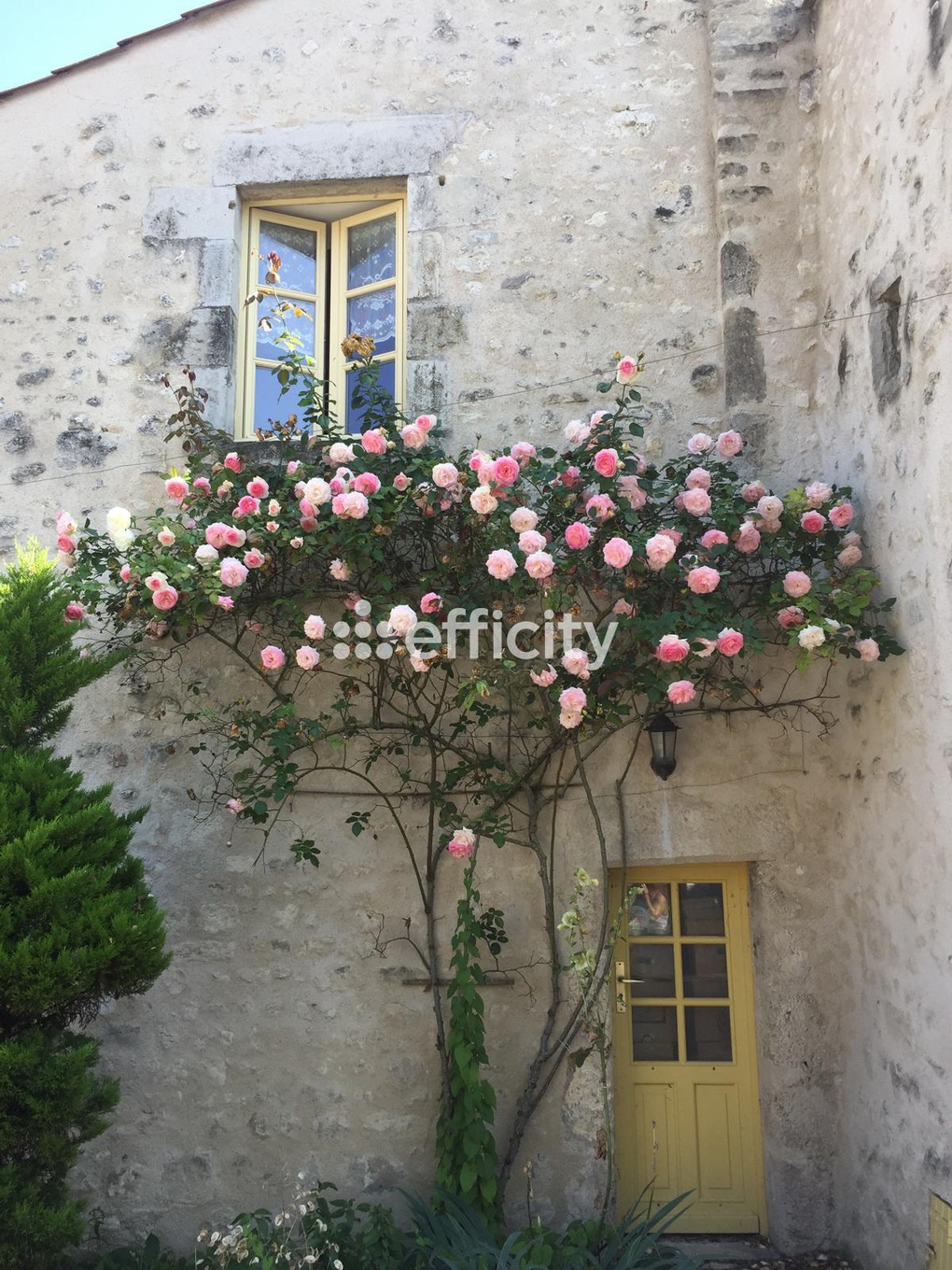 Achat immobilier Maison 10 pièces  307m2 à Charroux (03140) - Photo n°4