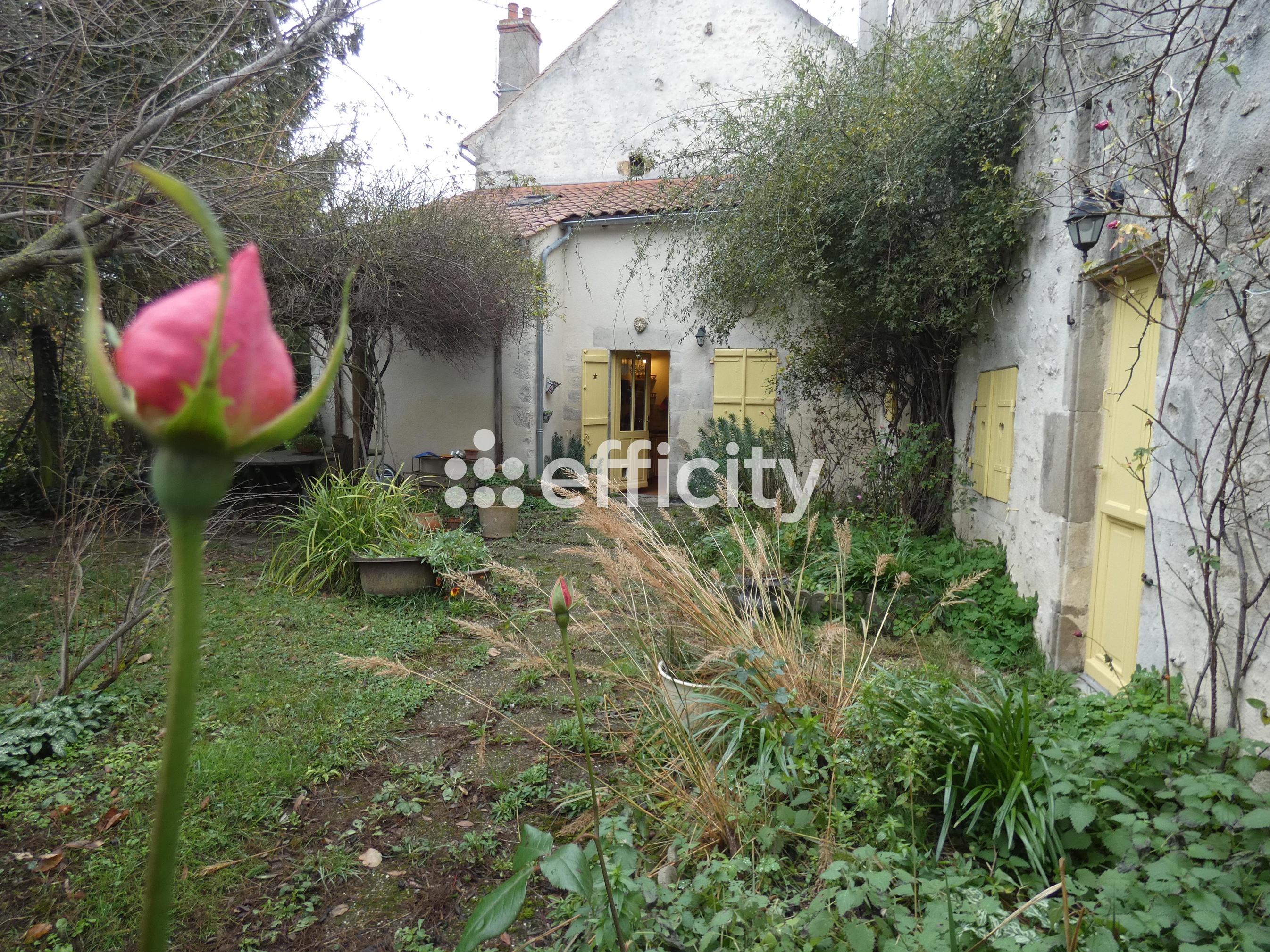 maison 10 pièces - 307m2 à Charroux (03140)
