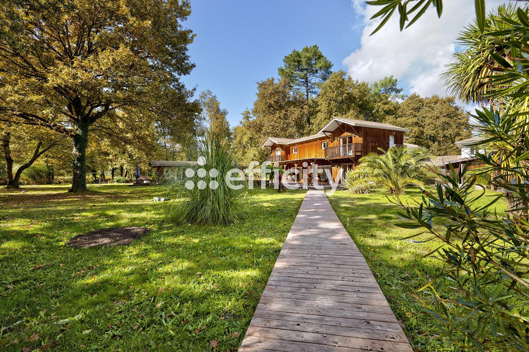 Achat immobilier Local commercial 12 pièces  269m2 à Lège-Cap-Ferret (33950) - Photo n°1