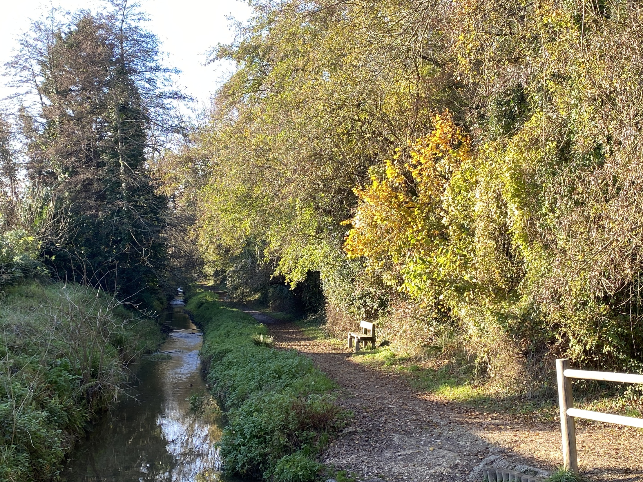 maison 6 pièces - 145m2 à Pessac (33600)