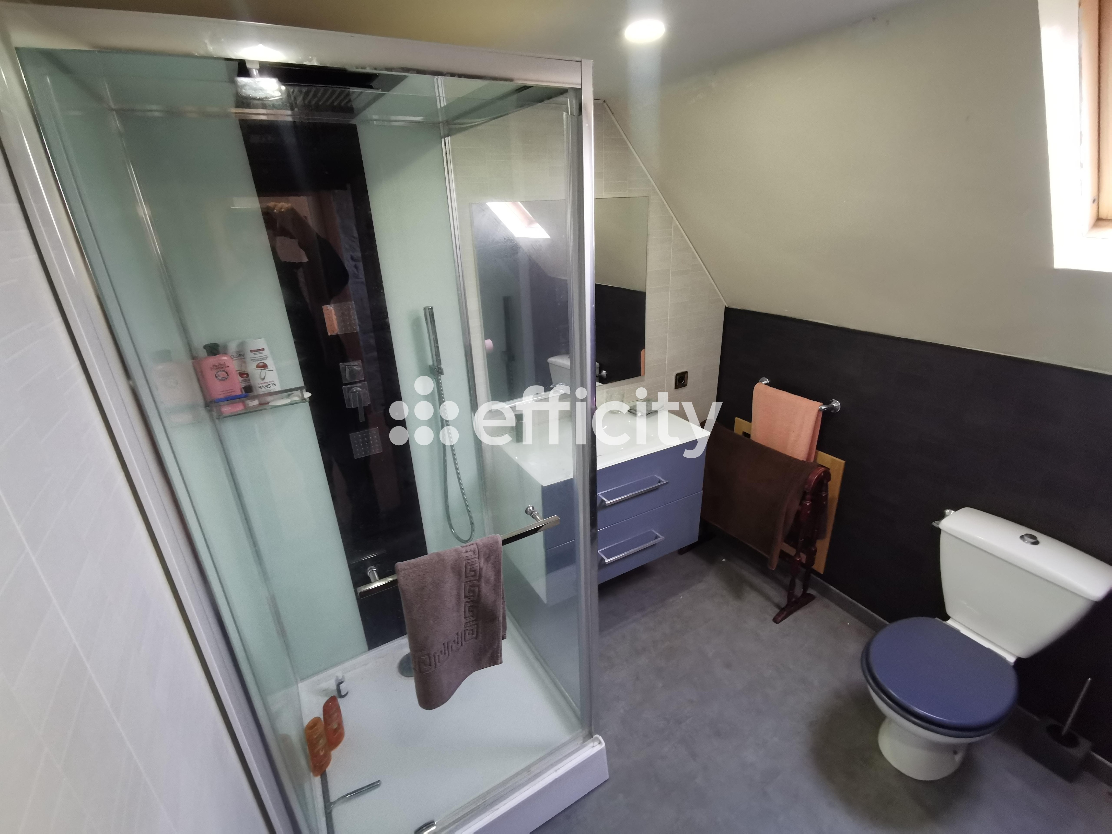 Achat immobilier Maison 7 pièces  170m2 à Saint-Michel-de-Montjoie (50670) - Photo n°18